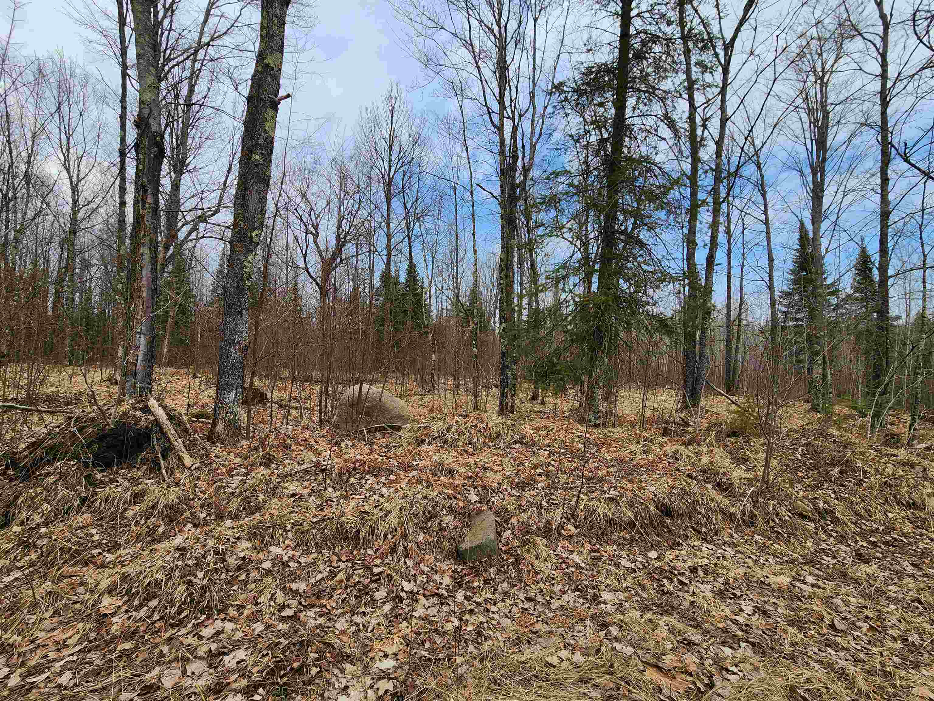 17378 RIGHT OF WAY ROAD, Glidden, Wisconsin 54527, ,Land,For Sale,17378 RIGHT OF WAY ROAD,22501374