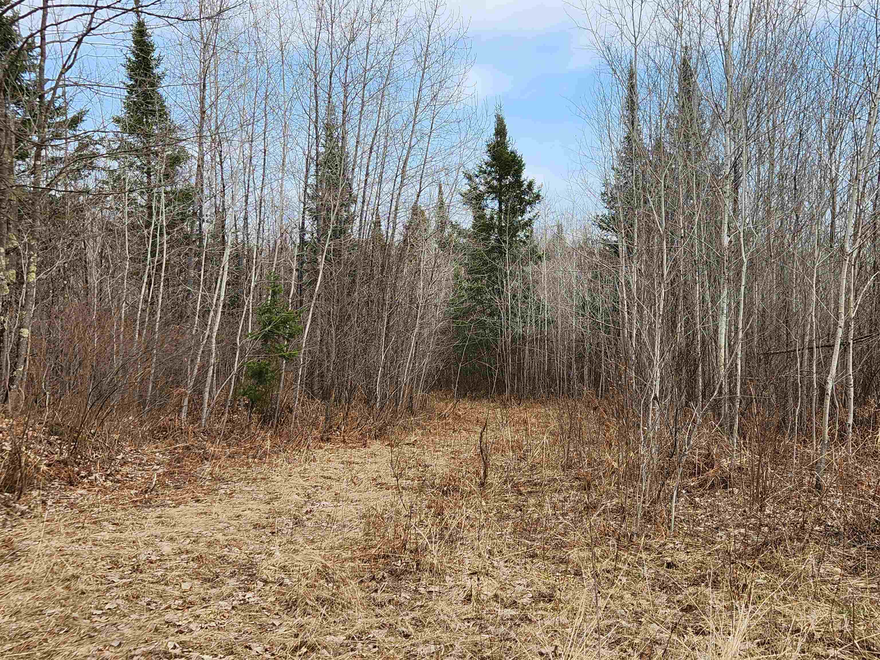 17378 RIGHT OF WAY ROAD, Glidden, Wisconsin 54527, ,Land,For Sale,17378 RIGHT OF WAY ROAD,22501374