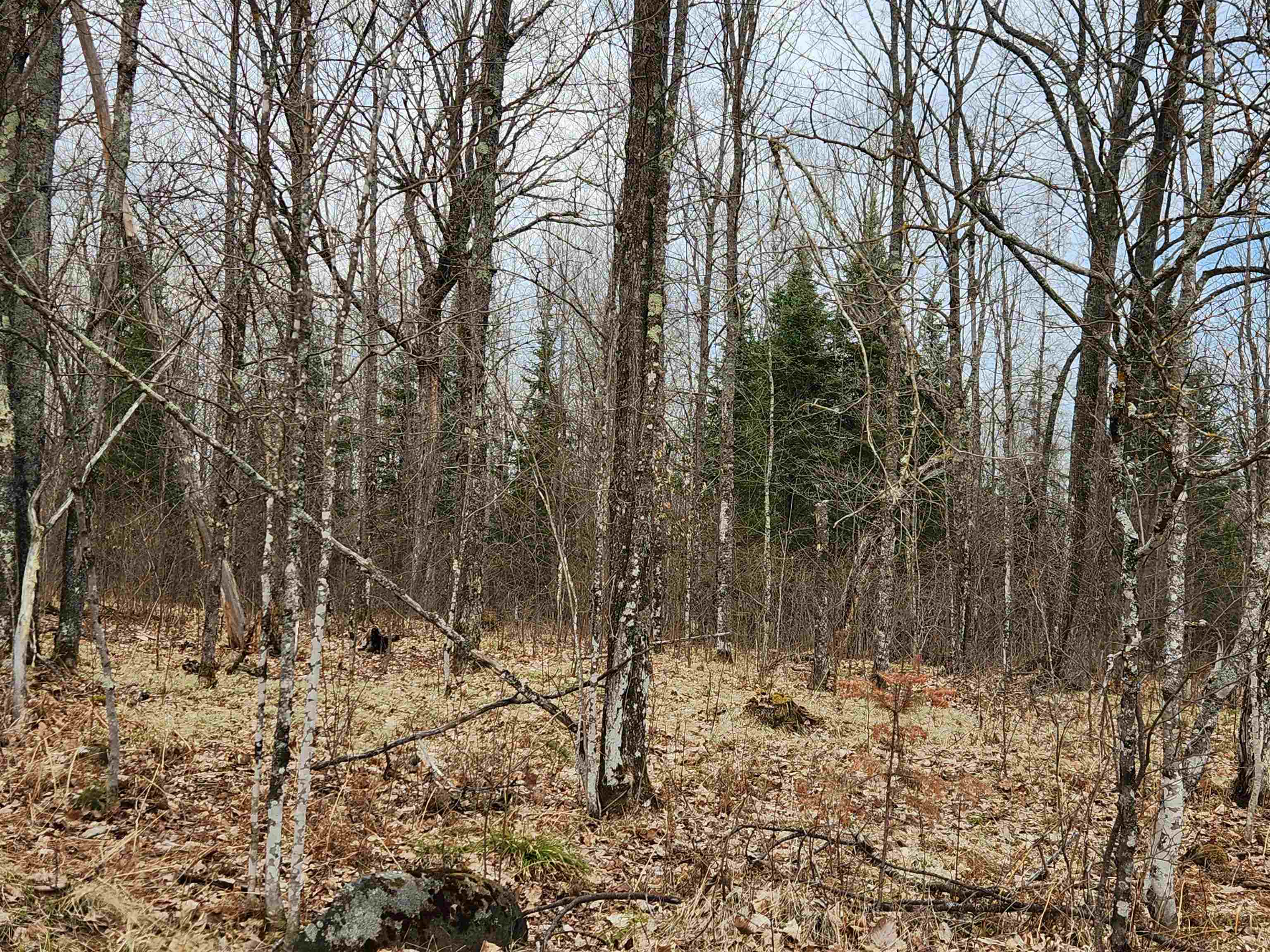 17378 RIGHT OF WAY ROAD, Glidden, Wisconsin 54527, ,Land,For Sale,17378 RIGHT OF WAY ROAD,22501374