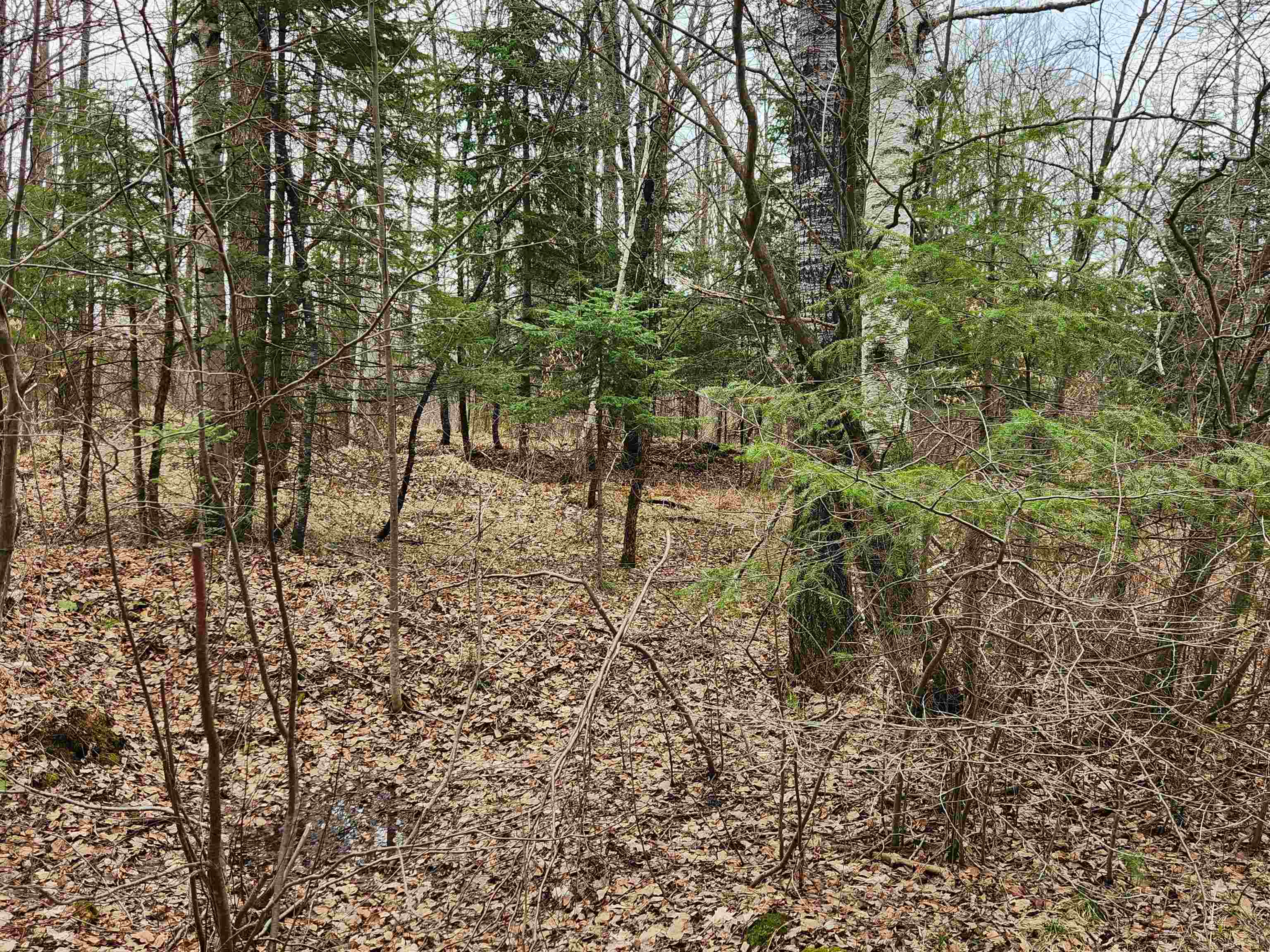 17378 RIGHT OF WAY ROAD, Glidden, Wisconsin 54527, ,Land,For Sale,17378 RIGHT OF WAY ROAD,22501374