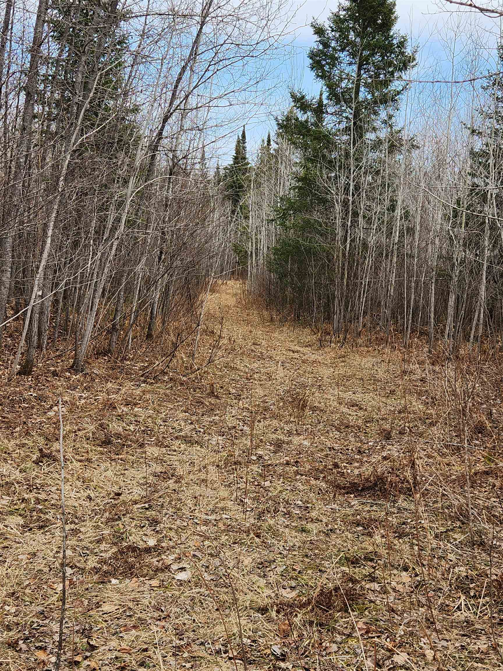 17378 RIGHT OF WAY ROAD, Glidden, Wisconsin 54527, ,Land,For Sale,17378 RIGHT OF WAY ROAD,22501374