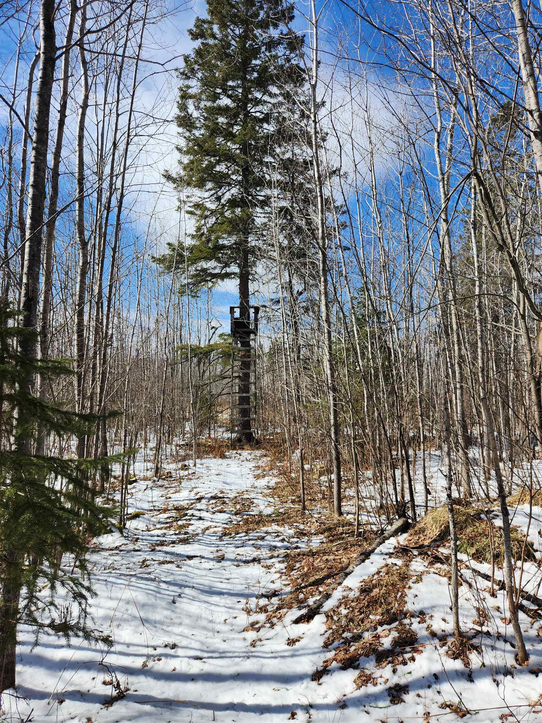 17378 RIGHT OF WAY ROAD, Glidden, Wisconsin 54527, ,Land,For Sale,17378 RIGHT OF WAY ROAD,22501374