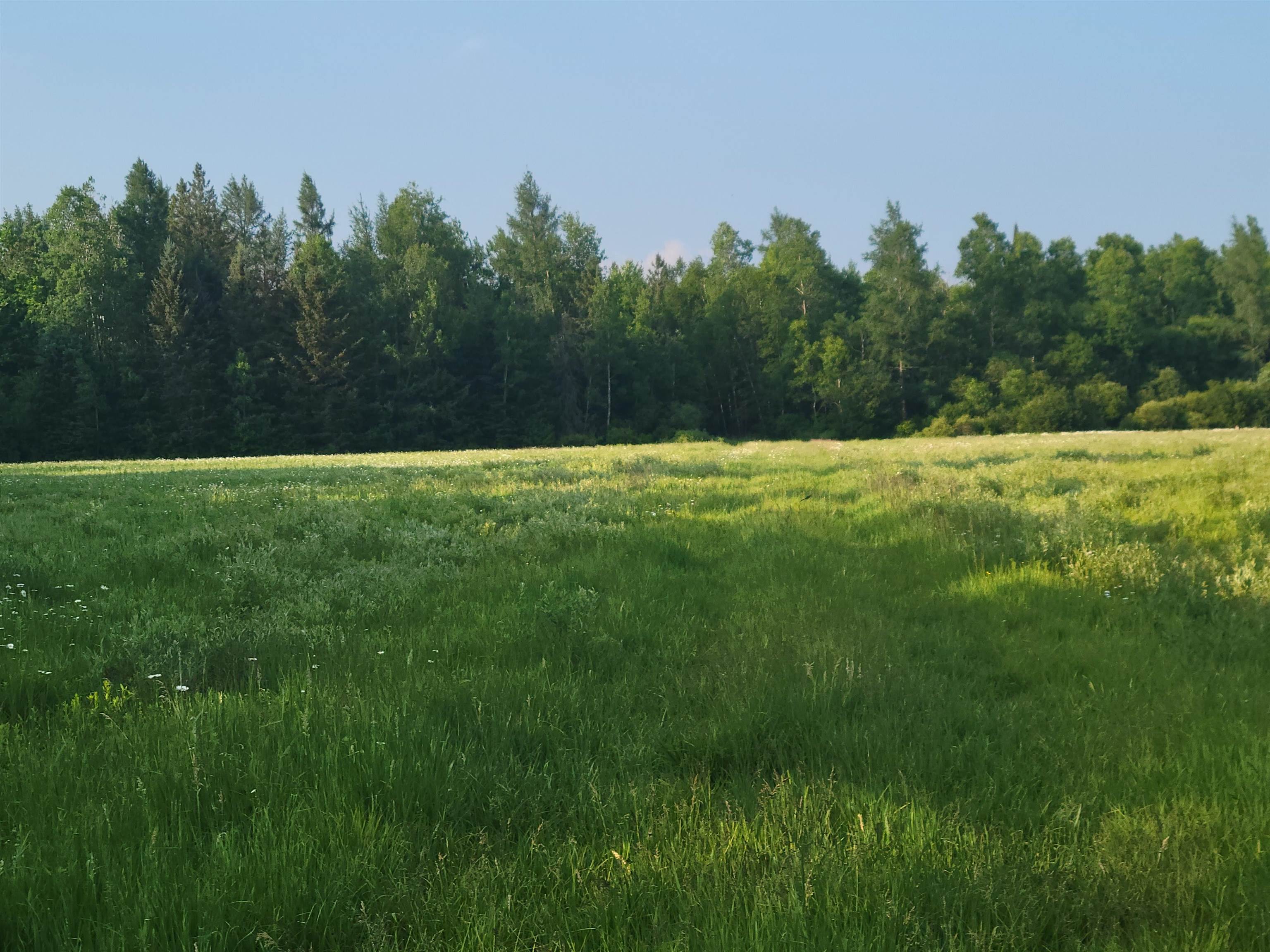 W12391 KEYES ROAD, Deerbrook, Wisconsin 54424, ,Land,For Sale,W12391 KEYES ROAD,22501415
