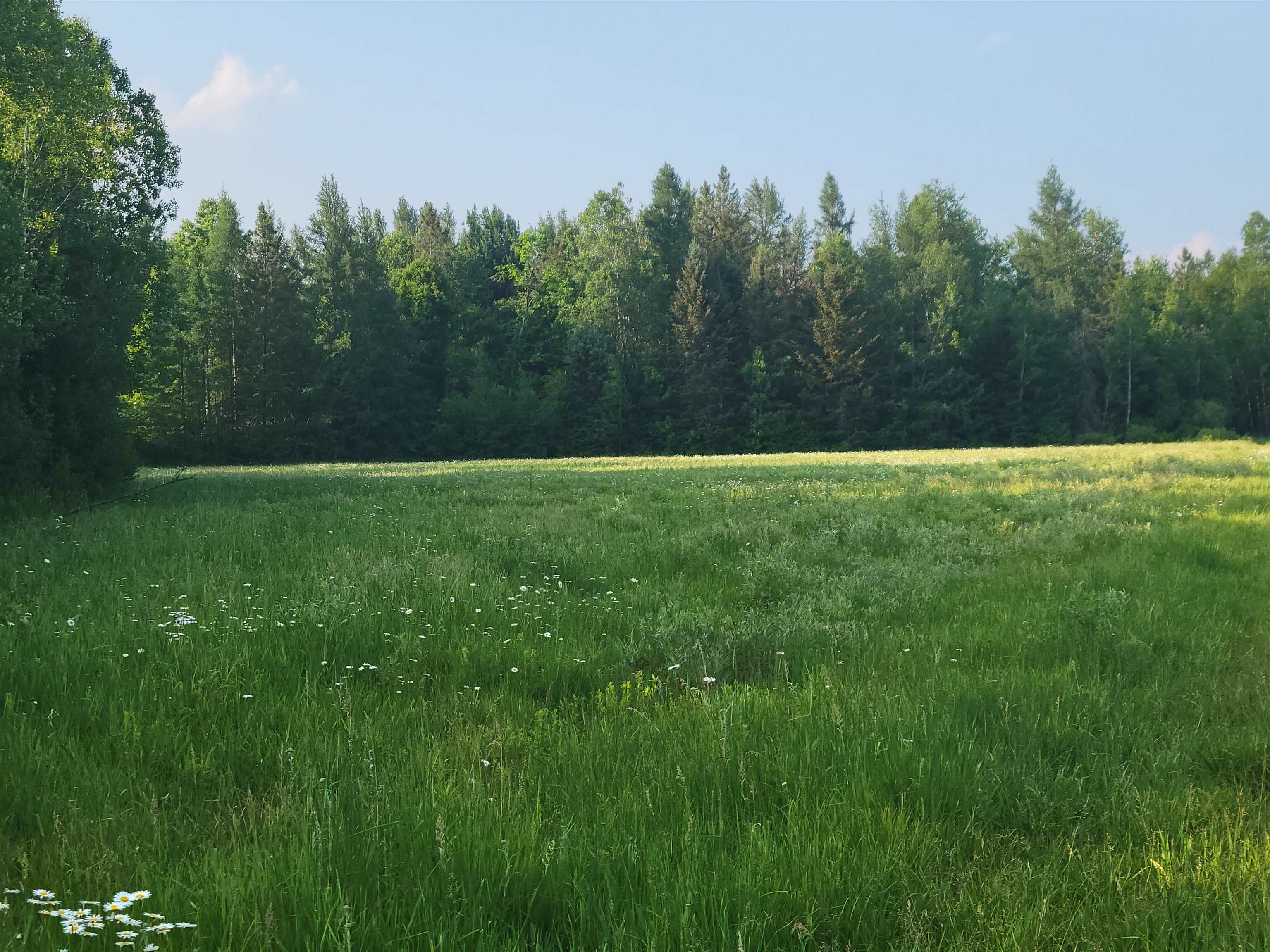 W12391 KEYES ROAD, Deerbrook, Wisconsin 54424, ,Land,For Sale,W12391 KEYES ROAD,22501415