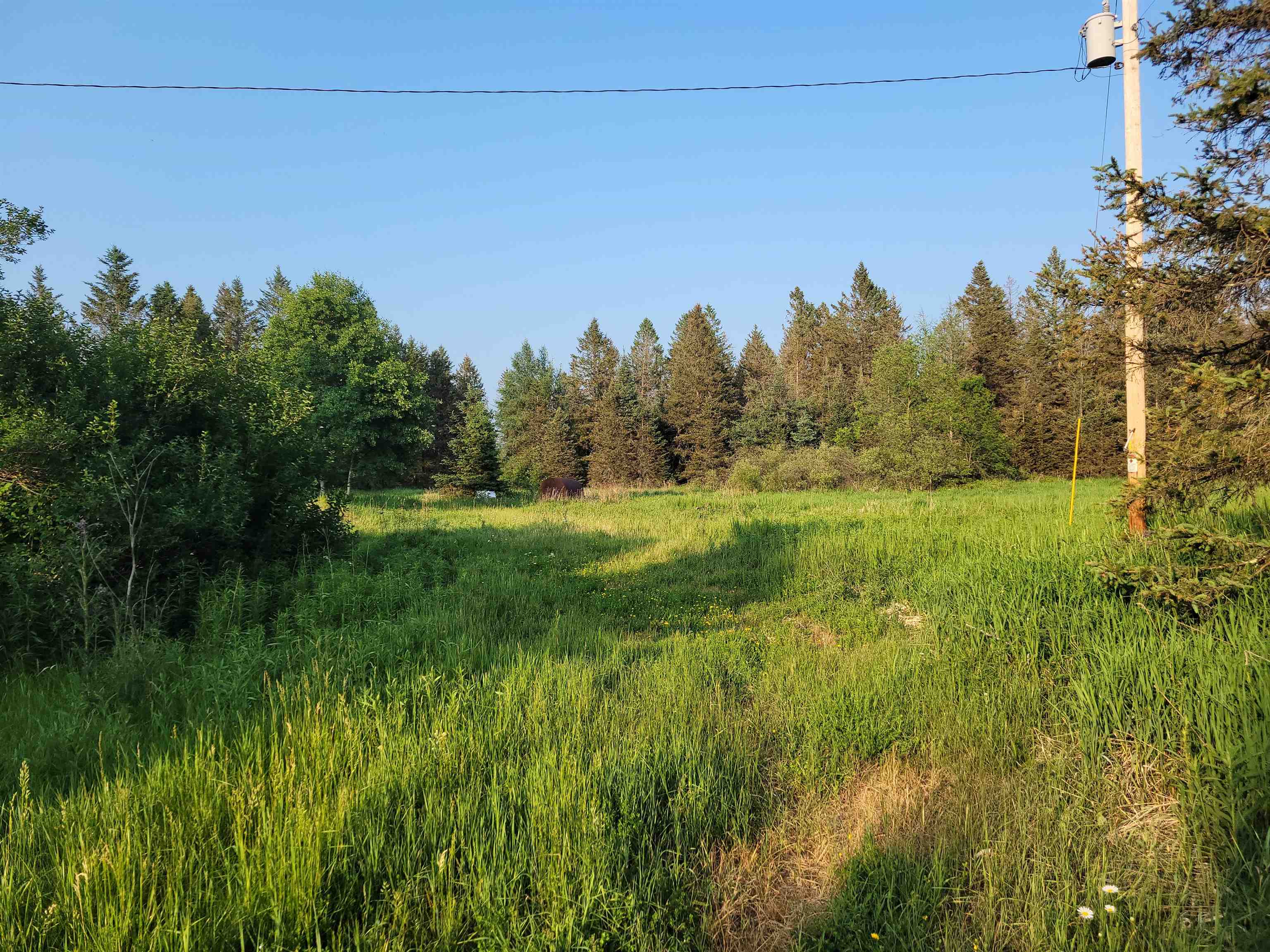 W12391 KEYES ROAD, Deerbrook, Wisconsin 54424, ,Land,For Sale,W12391 KEYES ROAD,22501415