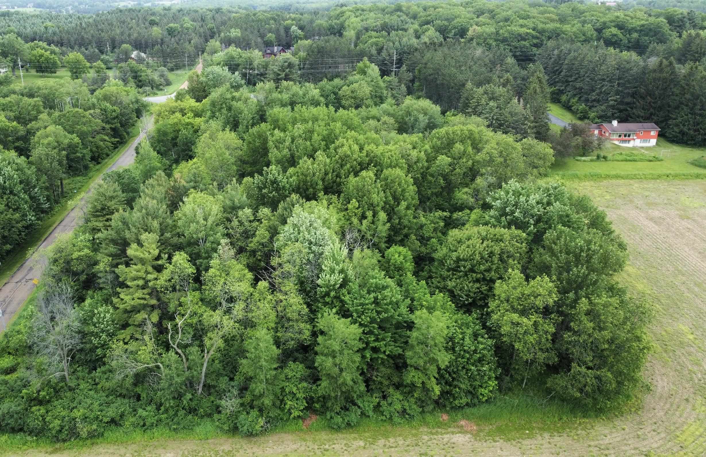 228835 HAWTHORNE LANE, Wausau, Wisconsin 54403, ,Land,For Sale,228835 HAWTHORNE LANE,22501430