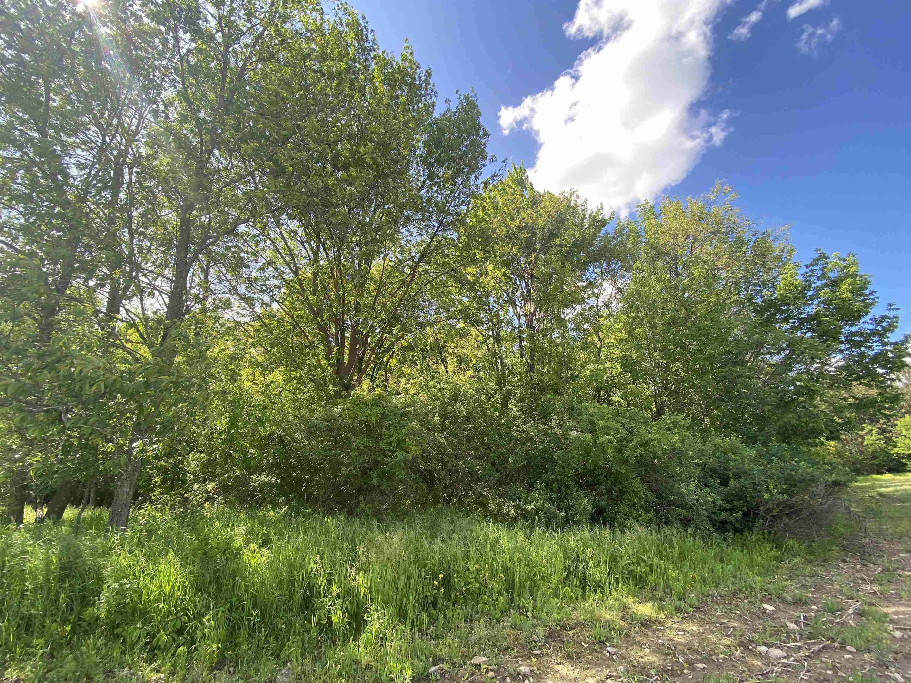 228835 HAWTHORNE LANE, Wausau, Wisconsin 54403, ,Land,For Sale,228835 HAWTHORNE LANE,22501430