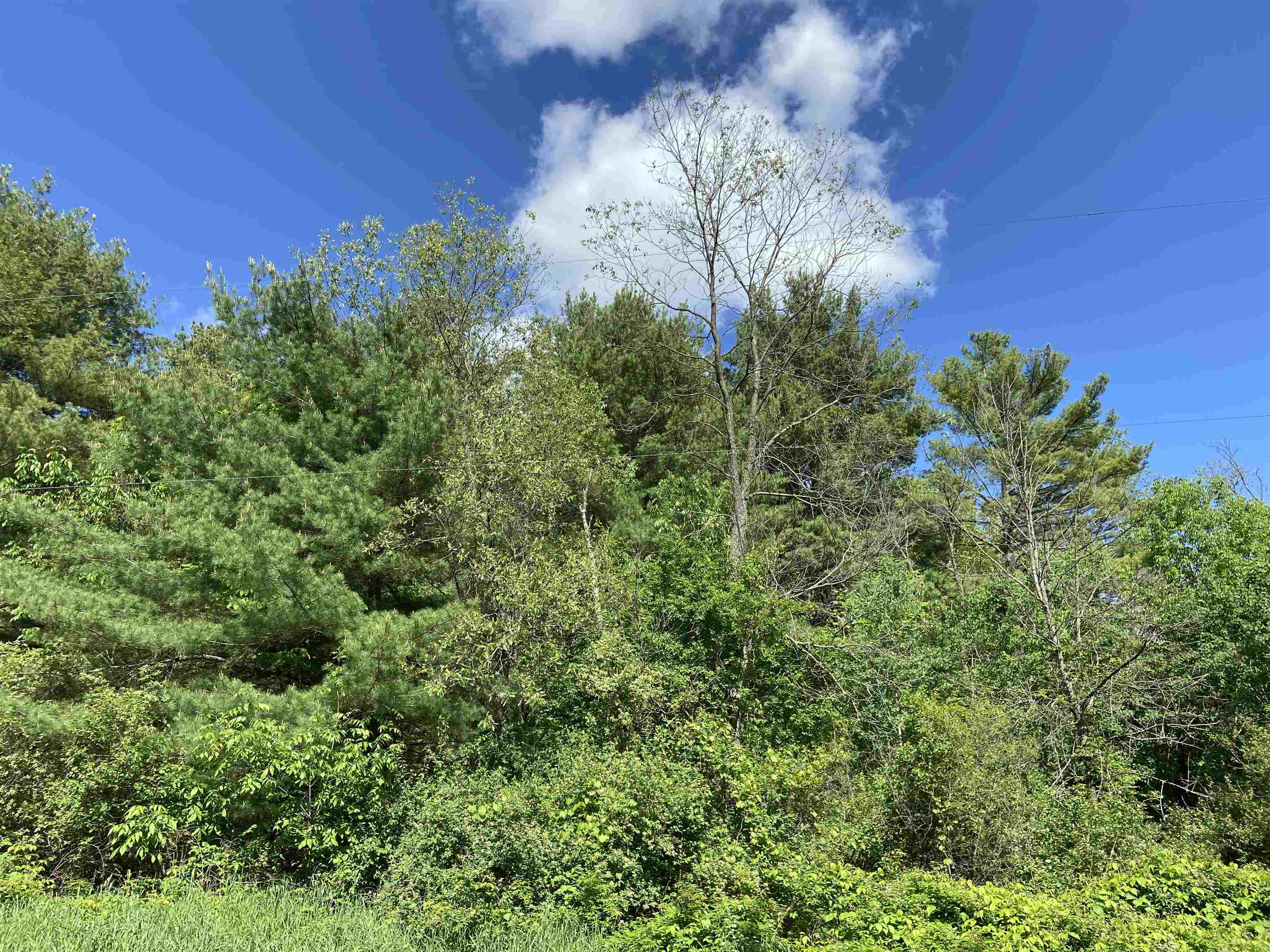 228835 HAWTHORNE LANE, Wausau, Wisconsin 54403, ,Land,For Sale,228835 HAWTHORNE LANE,22501430