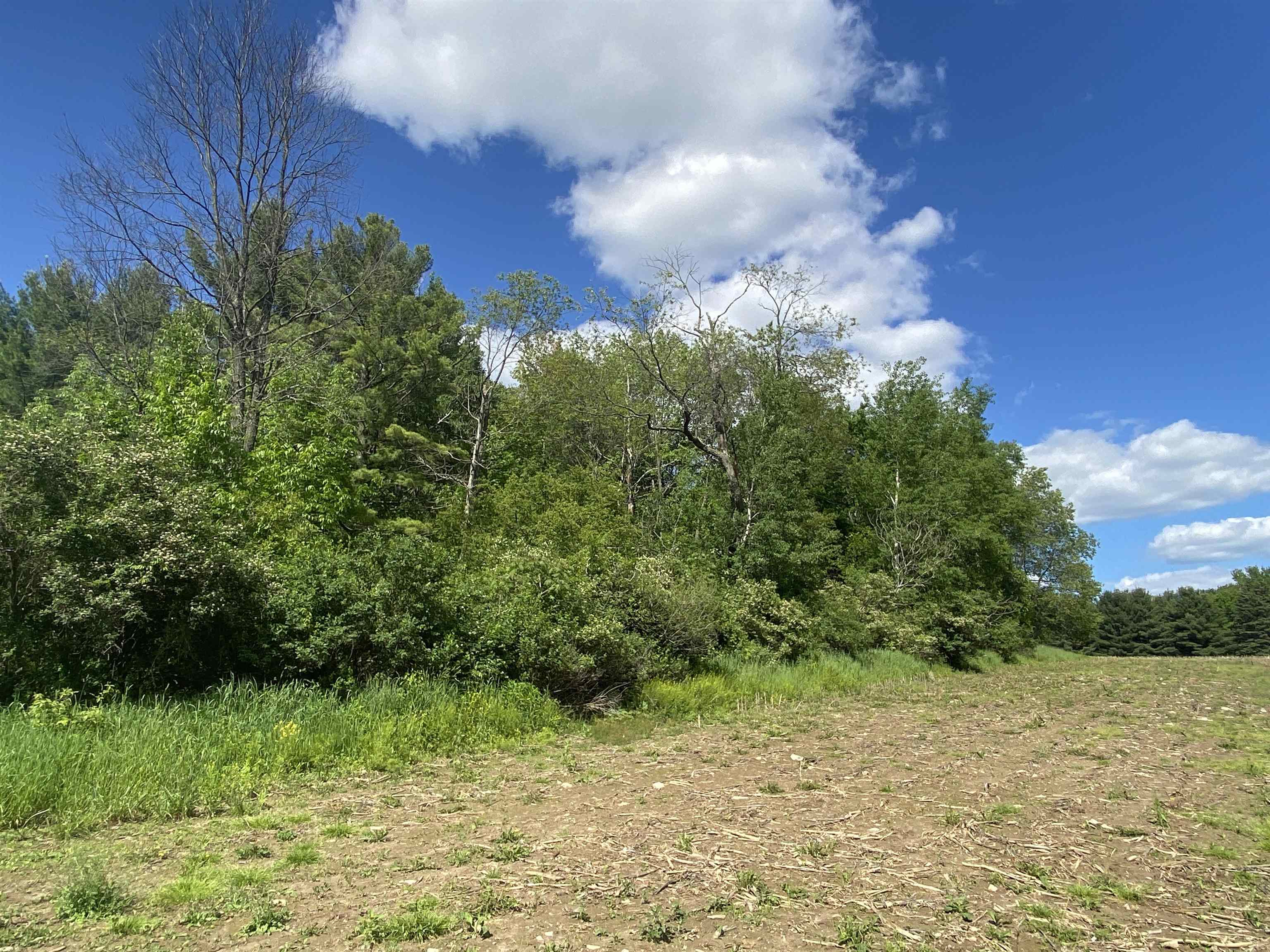 228835 HAWTHORNE LANE, Wausau, Wisconsin 54403, ,Land,For Sale,228835 HAWTHORNE LANE,22501430