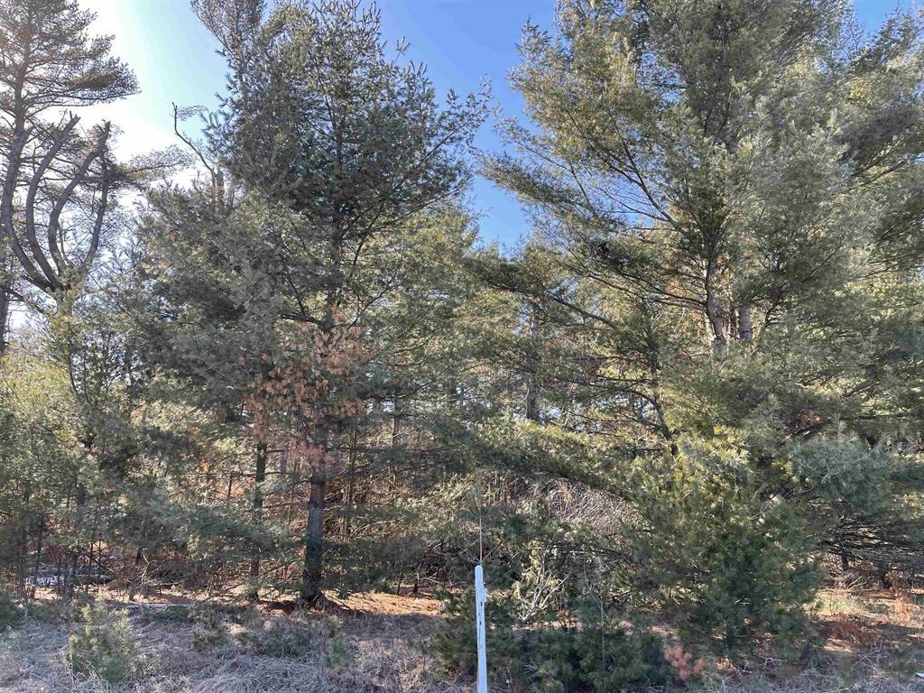 Lot 28 VERDE VILLA DRIVE, Hatley, Wisconsin 54440, ,Land,For Sale,Lot 28 VERDE VILLA DRIVE,22501447
