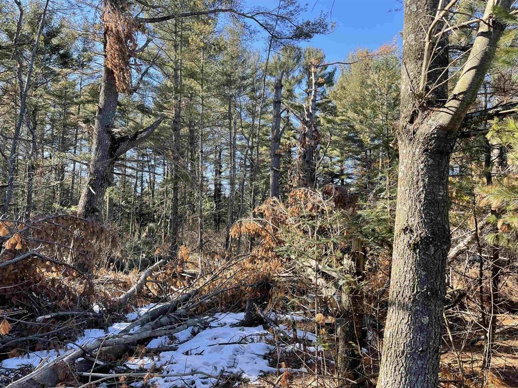 Lot 28 VERDE VILLA DRIVE, Hatley, Wisconsin 54440, ,Land,For Sale,Lot 28 VERDE VILLA DRIVE,22501447