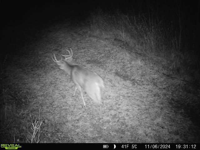 120 Acres STETTIN DRIVE, Wausau, Wisconsin 54401, ,Land,For Sale,120 Acres STETTIN DRIVE,22501466