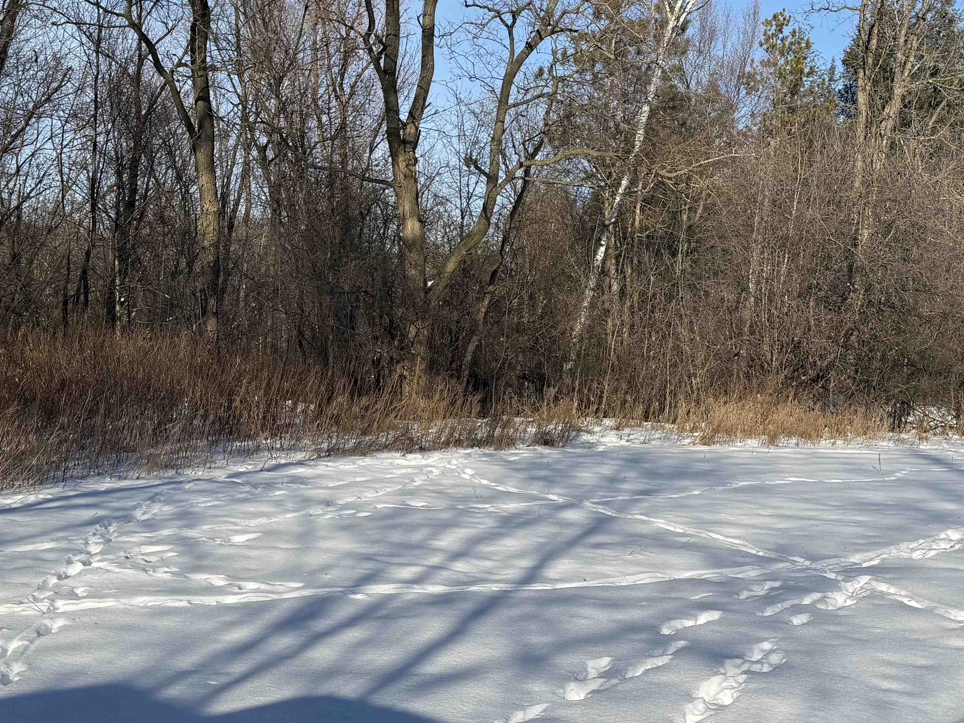 120 Acres STETTIN DRIVE, Wausau, Wisconsin 54401, ,Land,For Sale,120 Acres STETTIN DRIVE,22501466