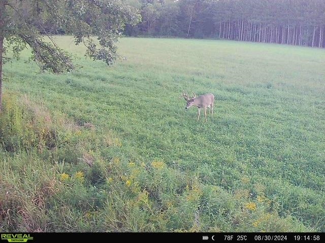 120 Acres STETTIN DRIVE, Wausau, Wisconsin 54401, ,Land,For Sale,120 Acres STETTIN DRIVE,22501466