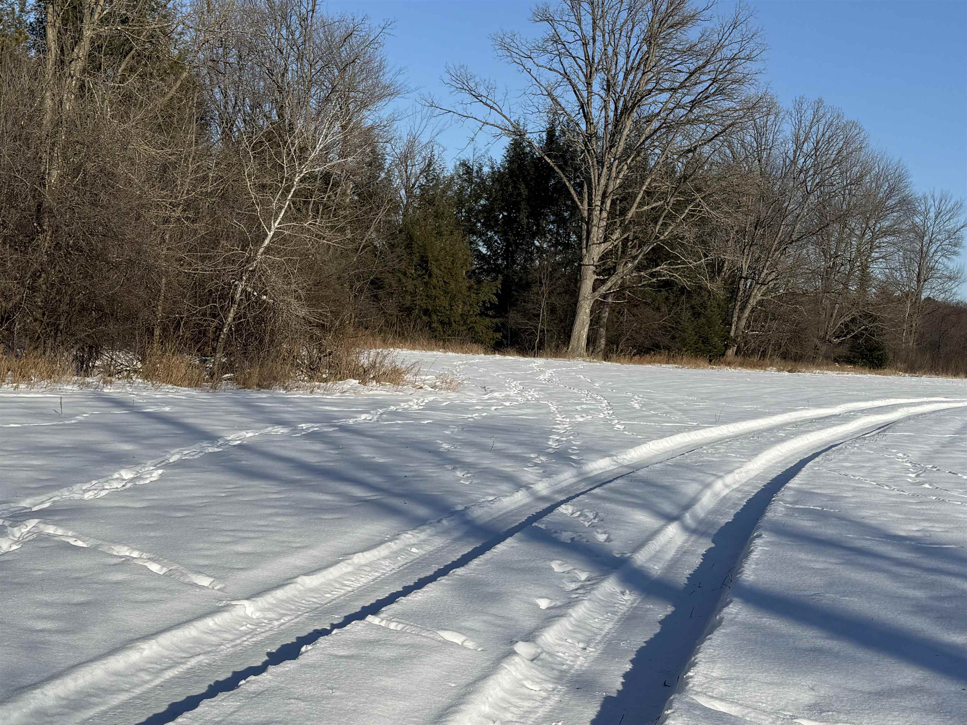 120 Acres STETTIN DRIVE, Wausau, Wisconsin 54401, ,Land,For Sale,120 Acres STETTIN DRIVE,22501466