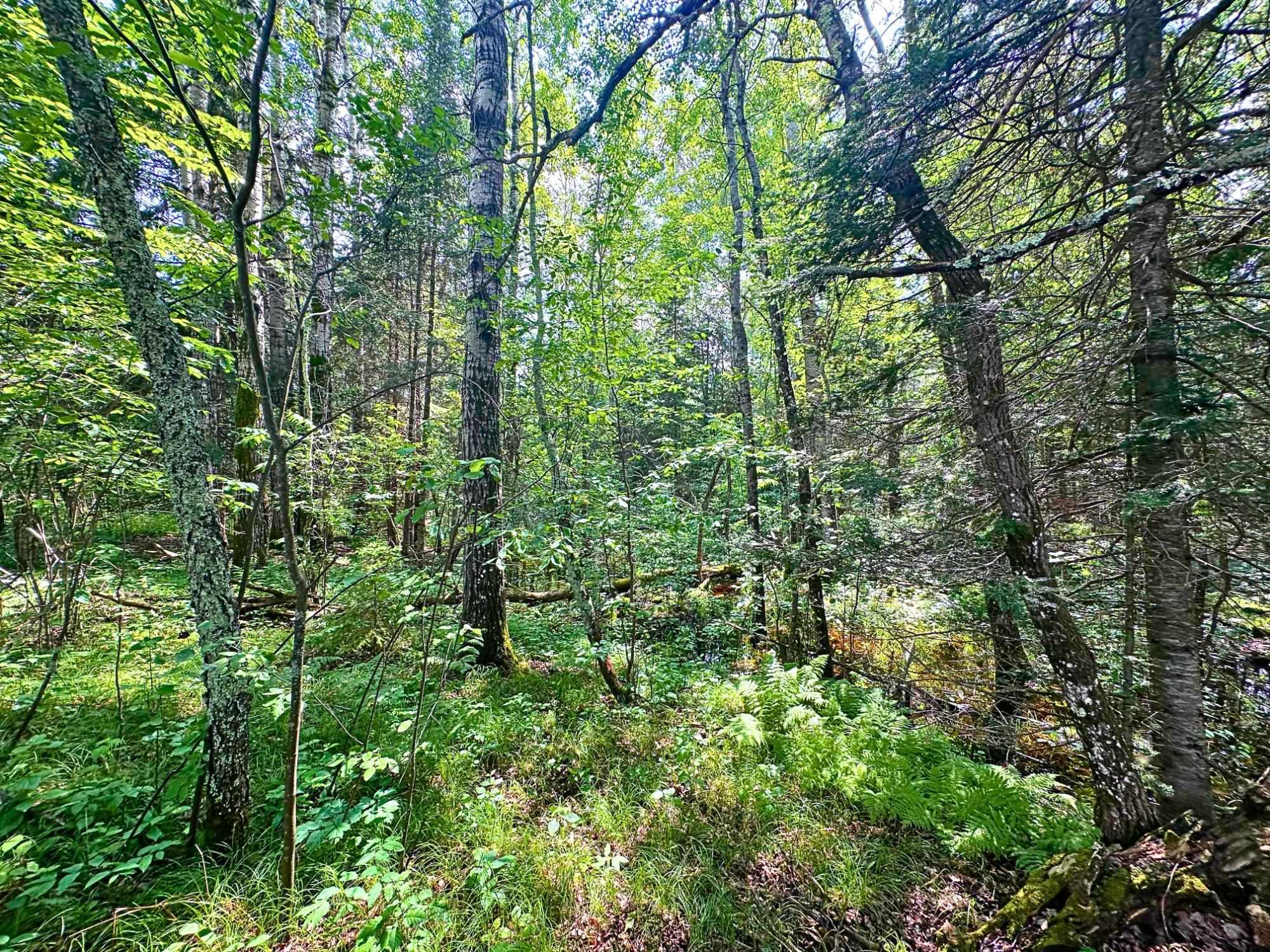 3.20A on BERT SCHMIDT CIRCLE, Glidden, Wisconsin 54527, ,Land,For Sale,3.20A on BERT SCHMIDT CIRCLE,22501469