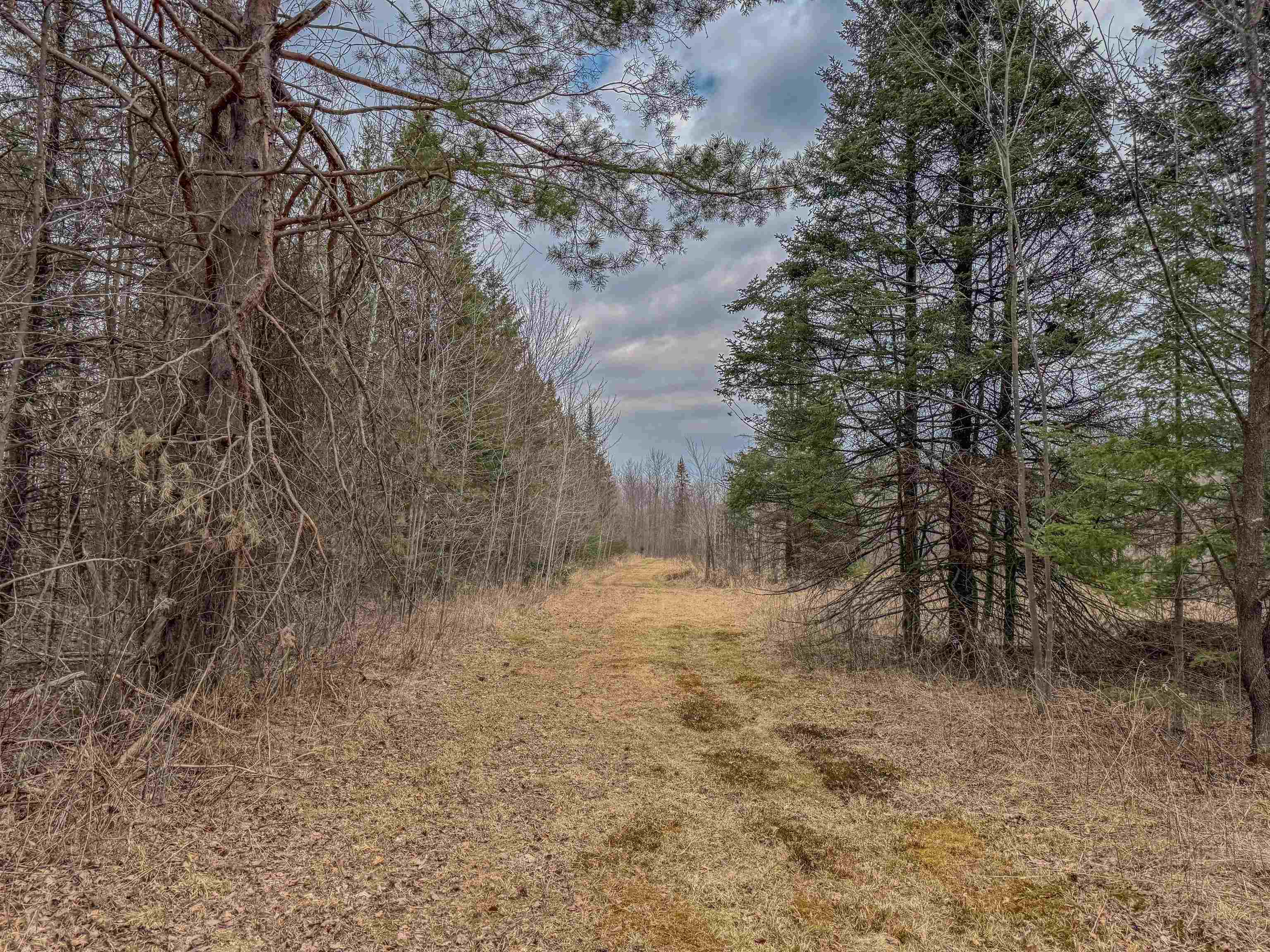 W10236 COUNTY ROAD M, Merrill, Wisconsin 54452, ,Land,For Sale,W10236 COUNTY ROAD M,22501479