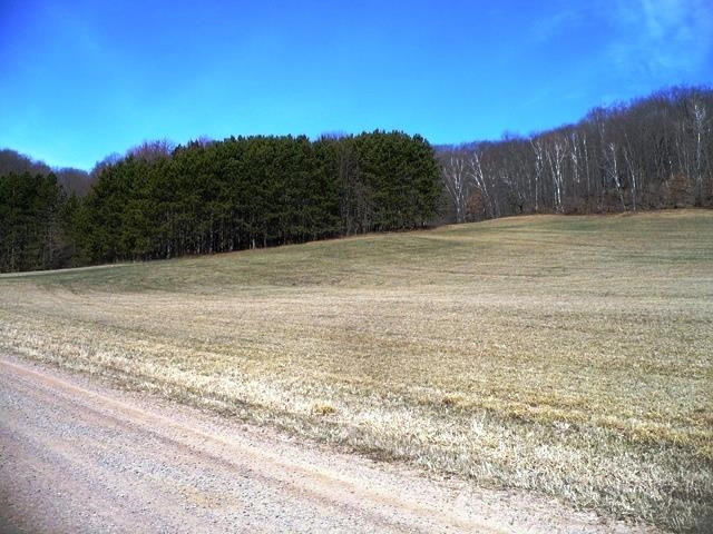 W8702 ROCK CREEK ROAD, Willard, Wisconsin 54493, 2 Bedrooms Bedrooms, ,1 BathroomBathrooms,Residential,For Sale,W8702 ROCK CREEK ROAD,22501488