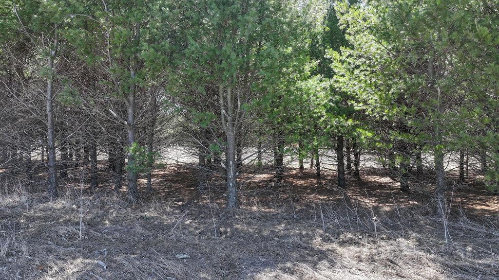 E1495 WOLF RIVER ROAD, Iola, Wisconsin 54945, ,Land,For Sale,E1495 WOLF RIVER ROAD,22501499