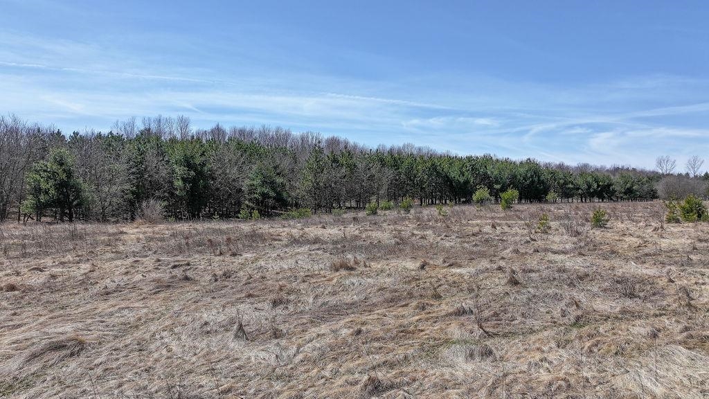 E1495 WOLF RIVER ROAD, Iola, Wisconsin 54945, ,Land,For Sale,E1495 WOLF RIVER ROAD,22501499