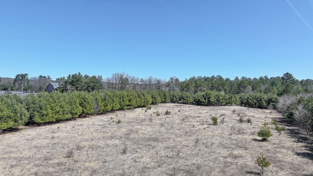 E1495 WOLF RIVER ROAD, Iola, Wisconsin 54945, ,Land,For Sale,E1495 WOLF RIVER ROAD,22501499