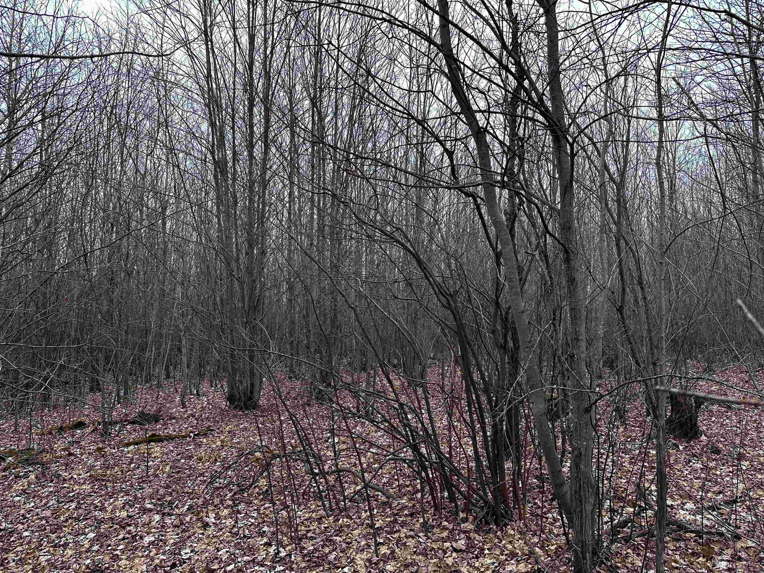 00 County Road I