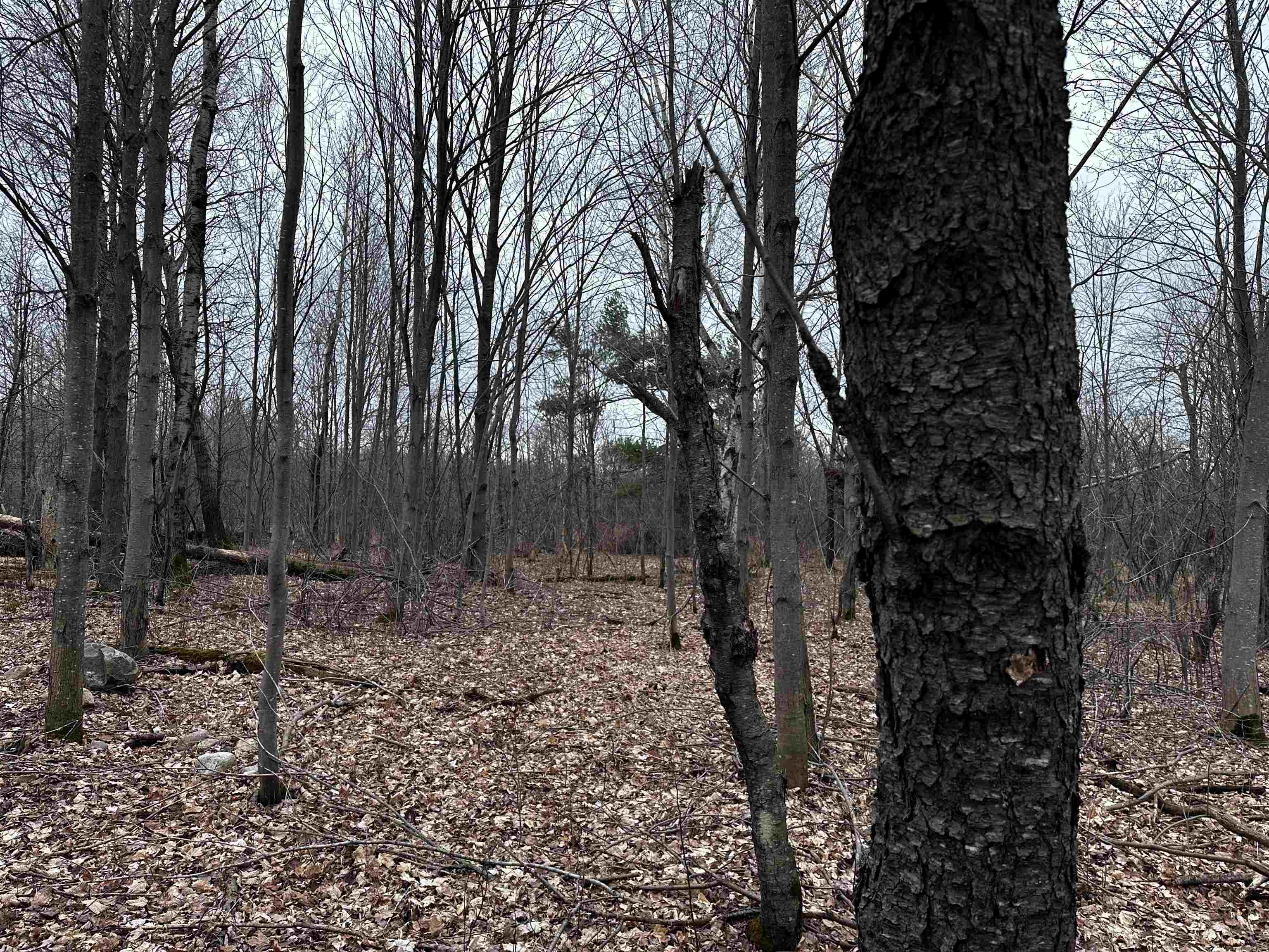 00 County Road I