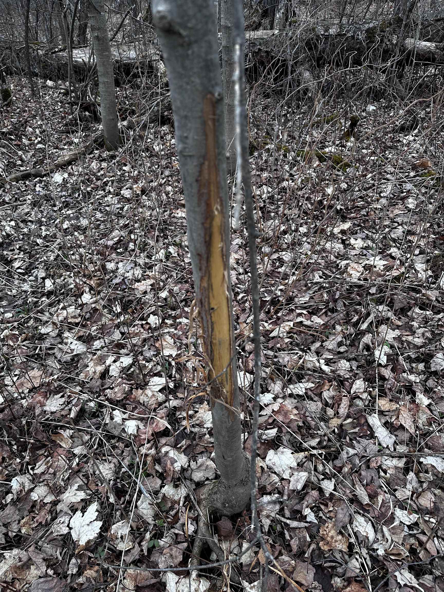 00 County Road I
