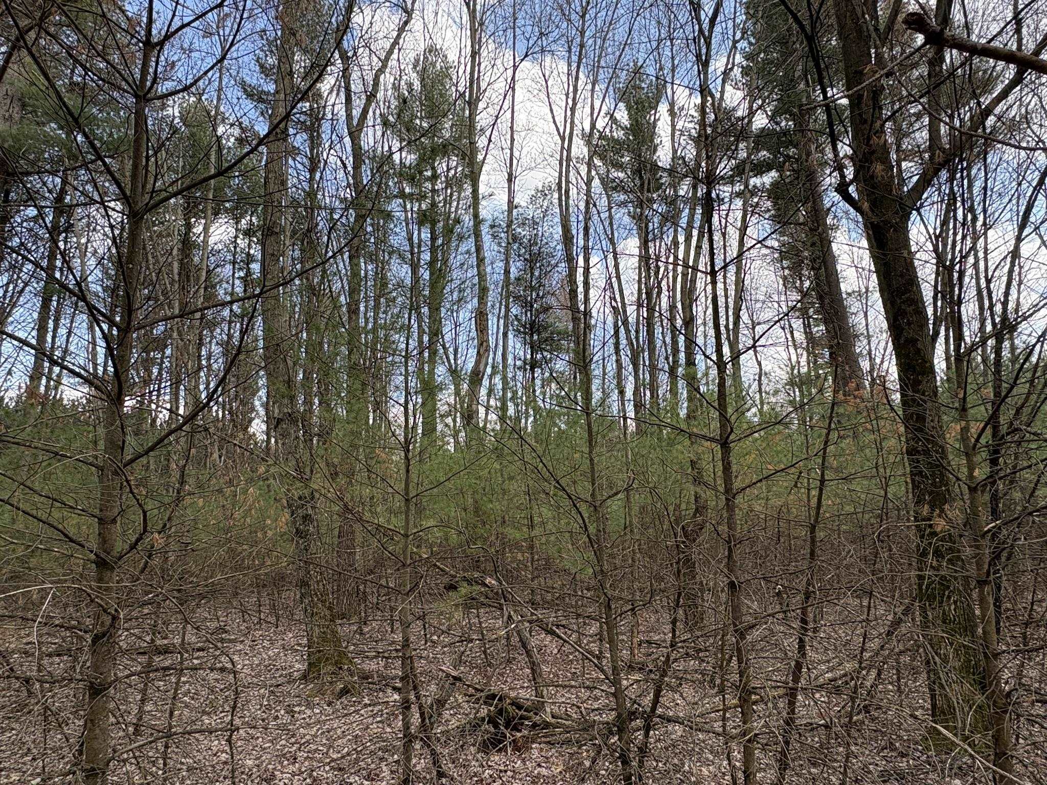 10 Acres STATE HIGHWAY 13, Nekoosa, Wisconsin 54457, ,Land,For Sale,10 Acres STATE HIGHWAY 13,22501551
