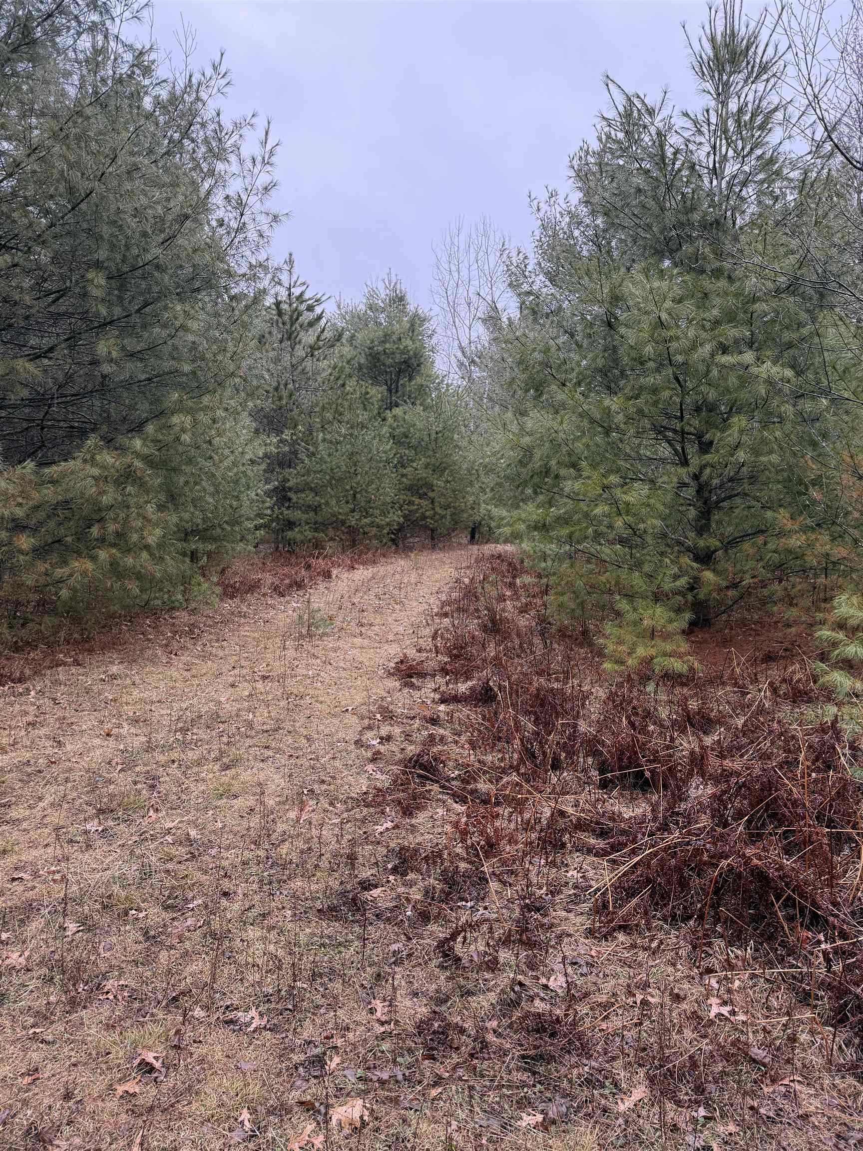 Lot 4 N 12TH AVENUE, Merrill, Wisconsin 54452, ,Land,For Sale,Lot 4 N 12TH AVENUE,22501585