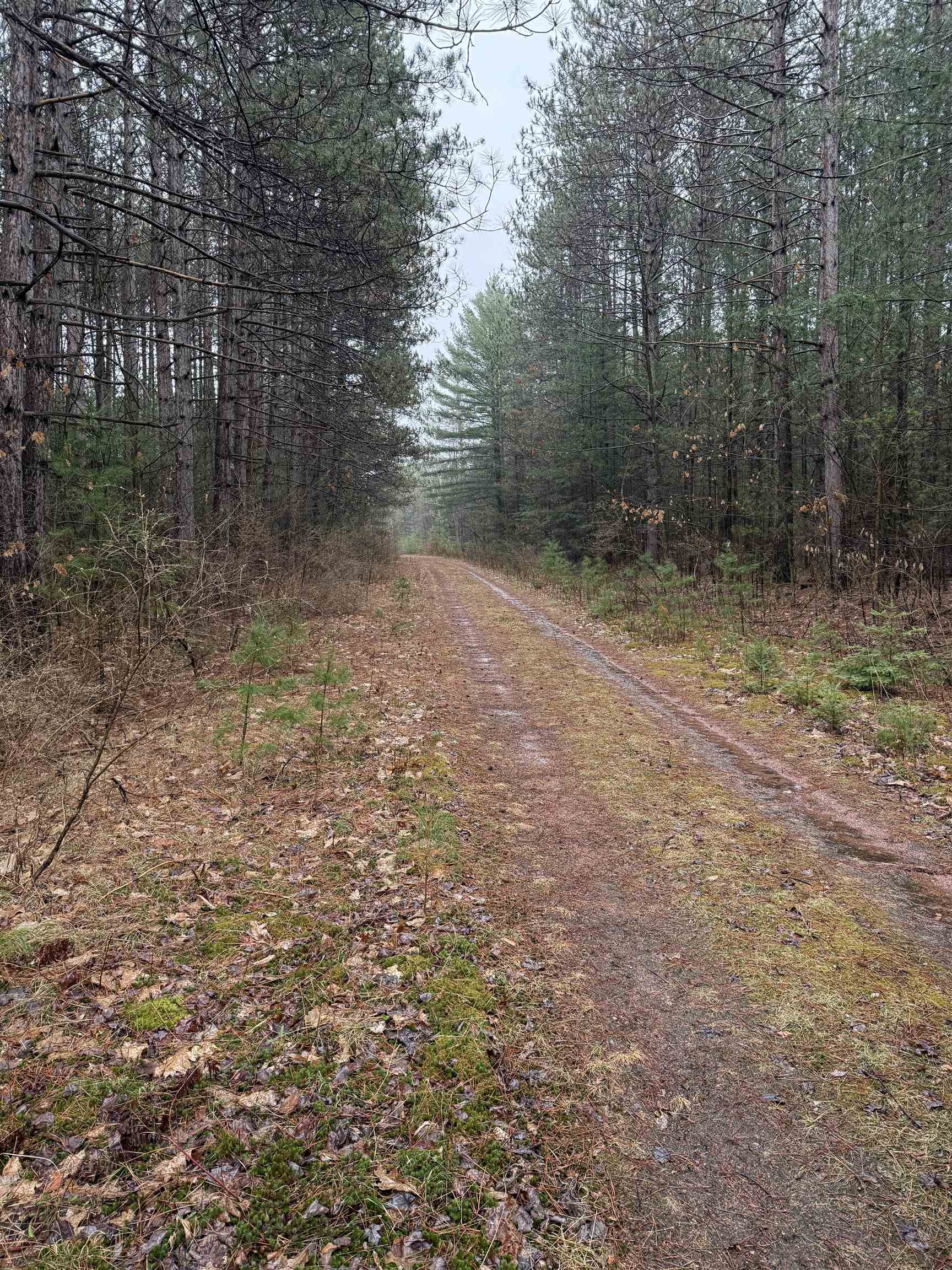 Lot 4 N 12TH AVENUE, Merrill, Wisconsin 54452, ,Land,For Sale,Lot 4 N 12TH AVENUE,22501585