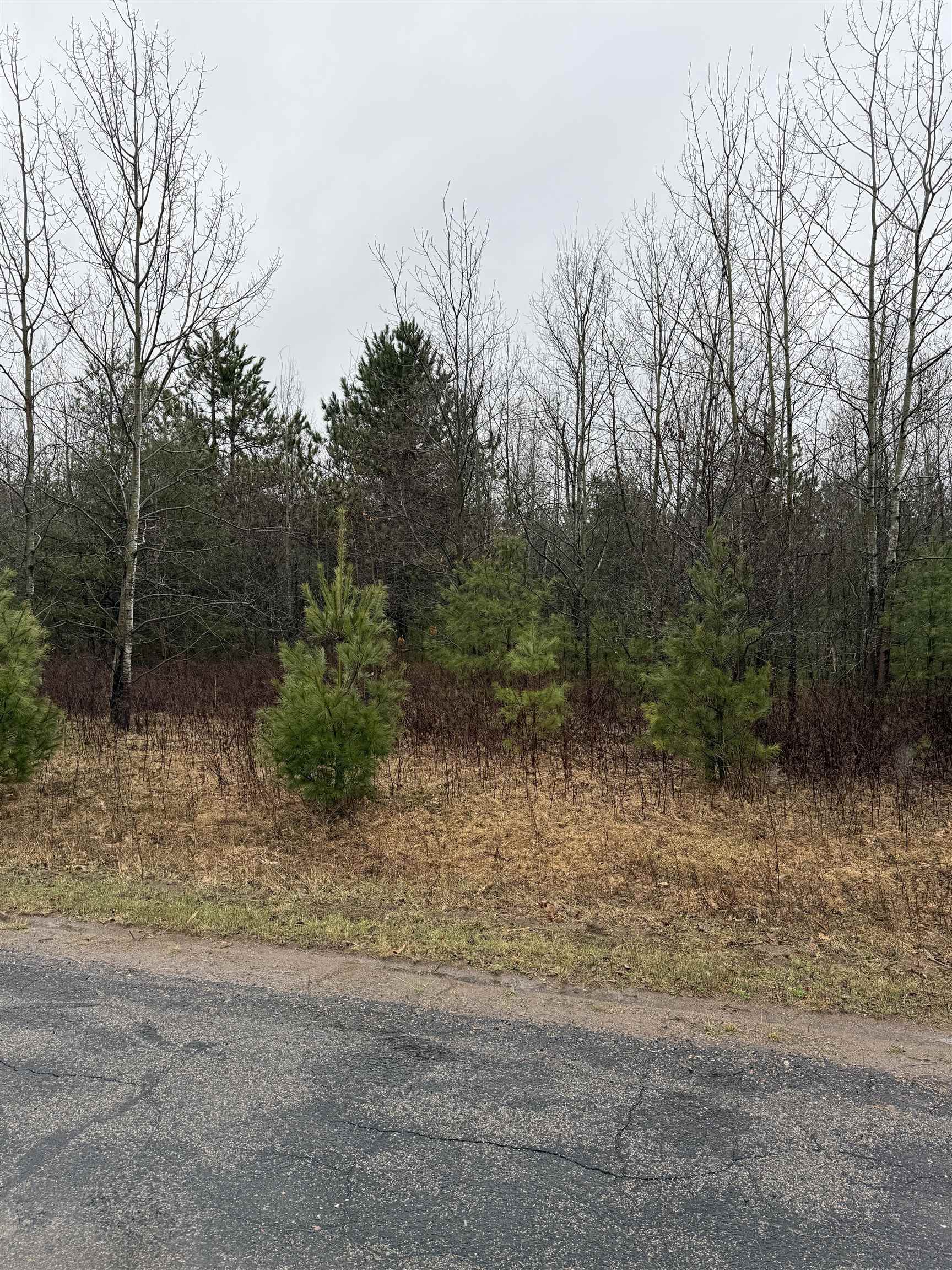 Lot 3 N 5TH AVENUE, Merrill, Wisconsin 54452, ,Land,For Sale,Lot 3 N 5TH AVENUE,22501586