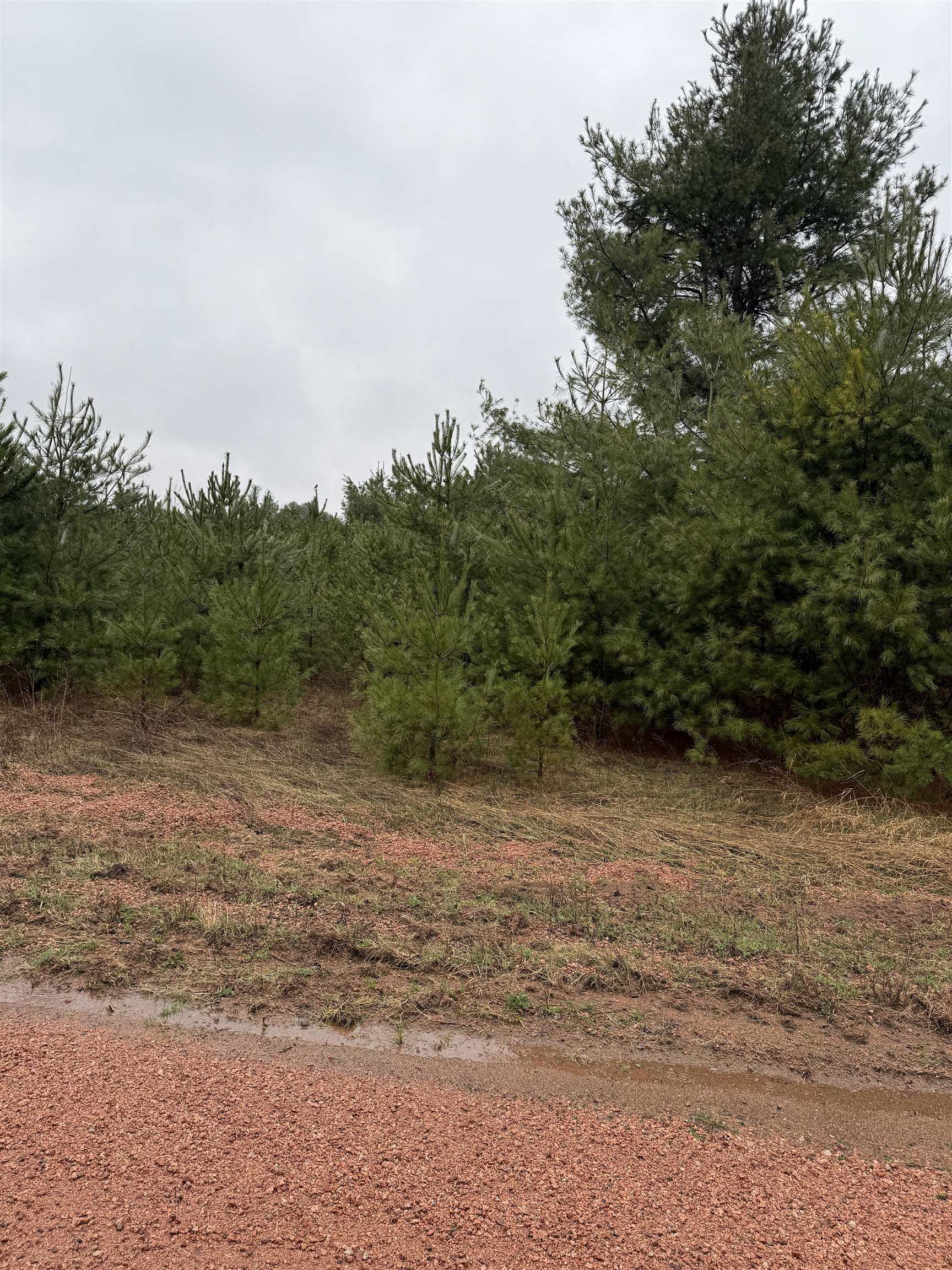 Lot 2 NAUGART DRIVE, Merrill, Wisconsin 54452, ,Land,For Sale,Lot 2 NAUGART DRIVE,22501587