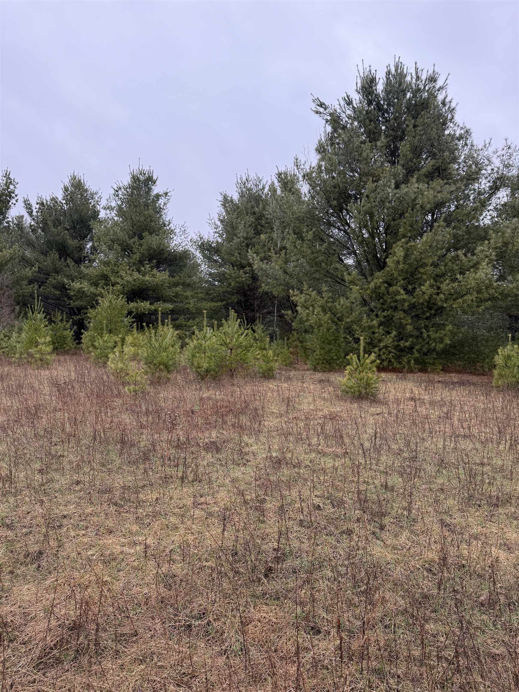 Lot 2 NAUGART DRIVE, Merrill, Wisconsin 54452, ,Land,For Sale,Lot 2 NAUGART DRIVE,22501587