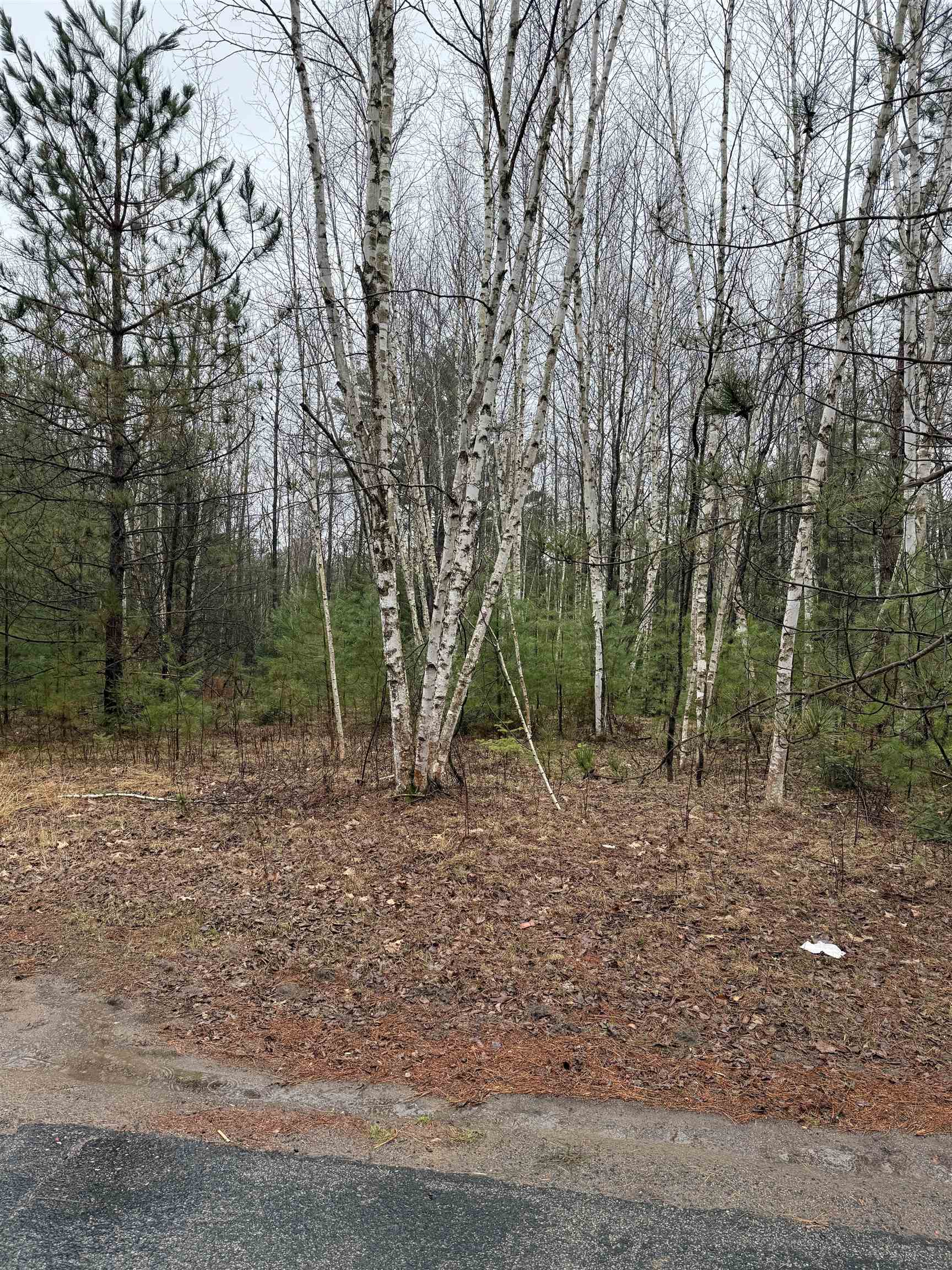 Lot 1 NAUGART DRIVE, Merrill, Wisconsin 54452, ,Land,For Sale,Lot 1 NAUGART DRIVE,22501588