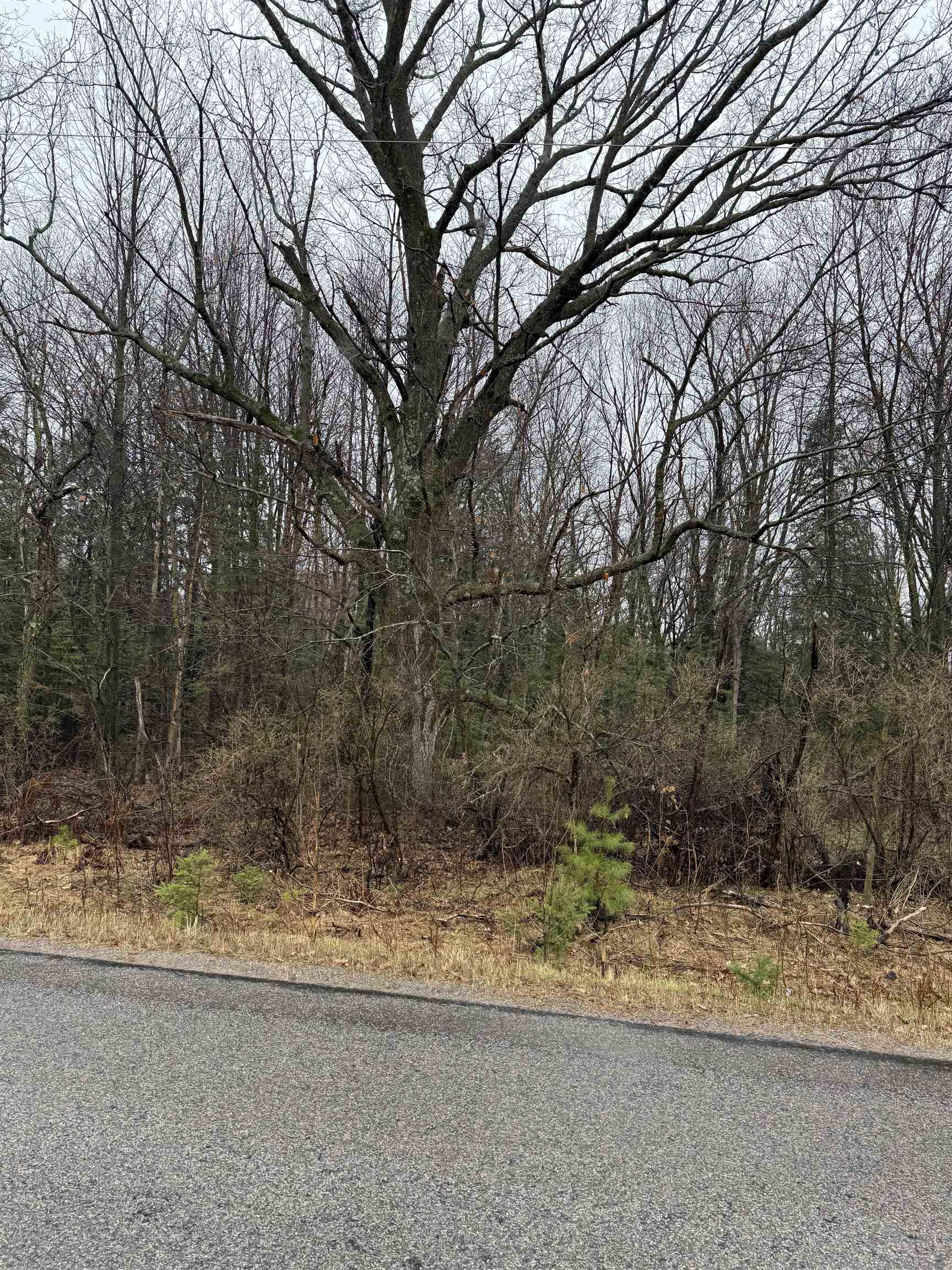 Lot 1 NAUGART DRIVE, Merrill, Wisconsin 54452, ,Land,For Sale,Lot 1 NAUGART DRIVE,22501588