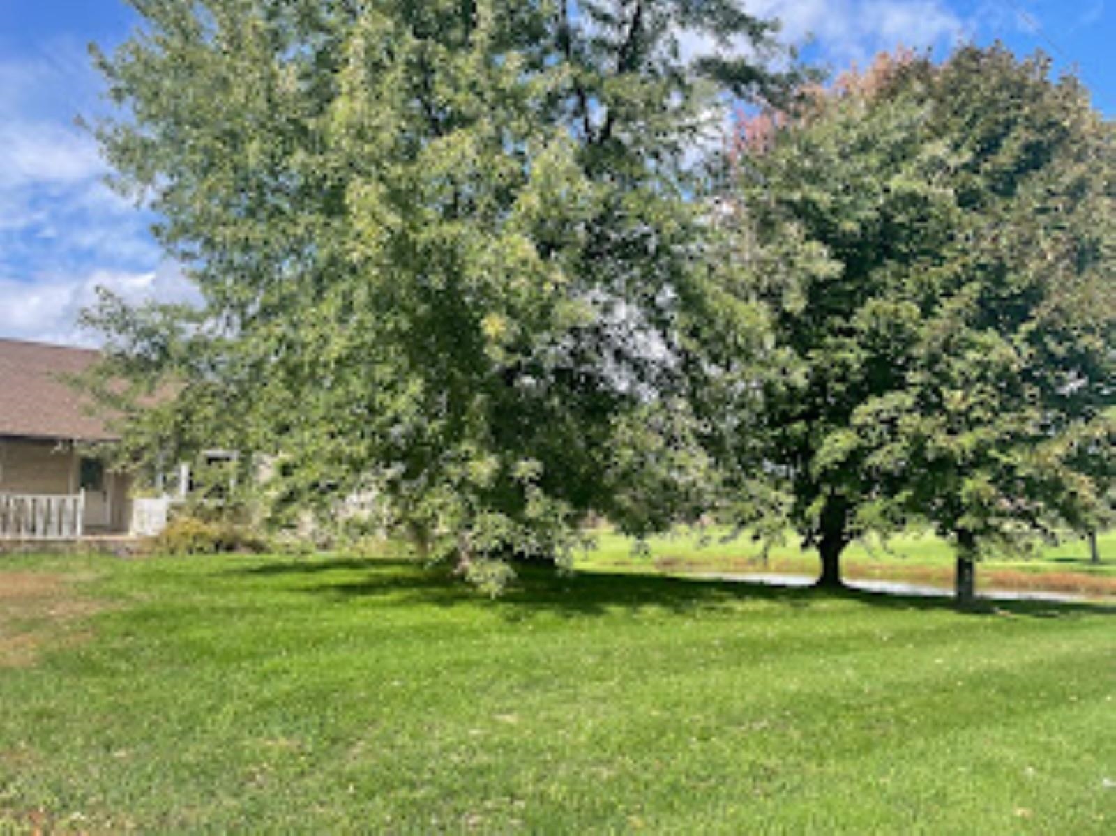 7957 BETHEL ROAD, Arpin, Wisconsin 54410, 3 Bedrooms Bedrooms, 6 Rooms Rooms,2 BathroomsBathrooms,Multi-family,For Sale,7957 BETHEL ROAD,22501616