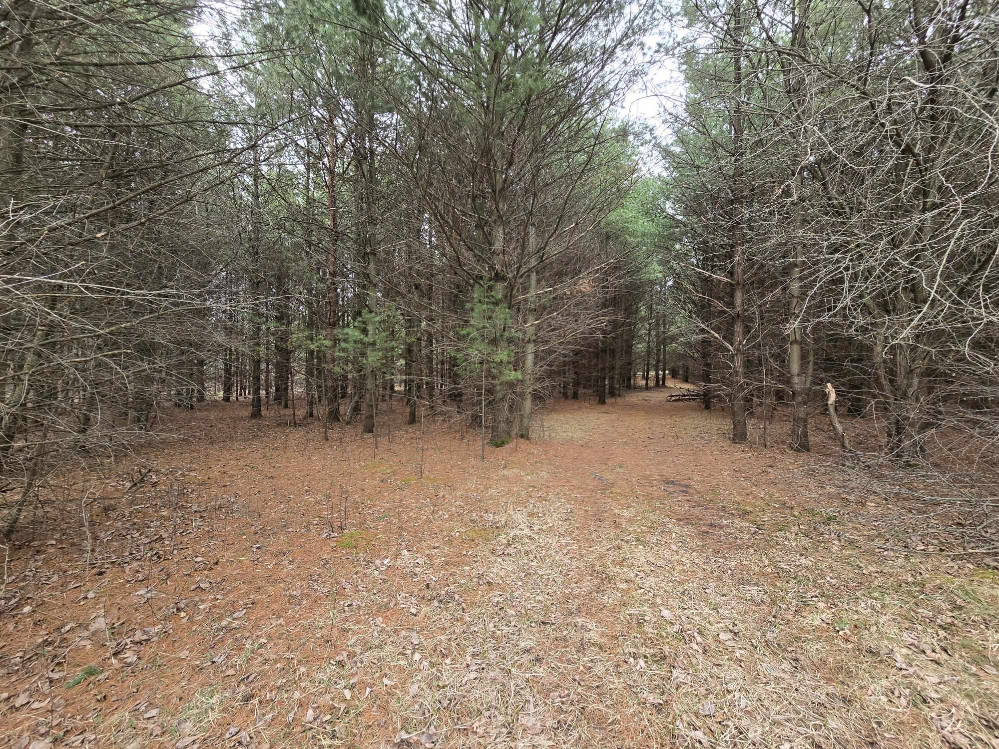 3653 COUNTY ROAD Q, Wisconsin Rapids, Wisconsin 54495, 3 Bedrooms Bedrooms, ,1 BathroomBathrooms,Residential,For Sale,3653 COUNTY ROAD Q,22501626