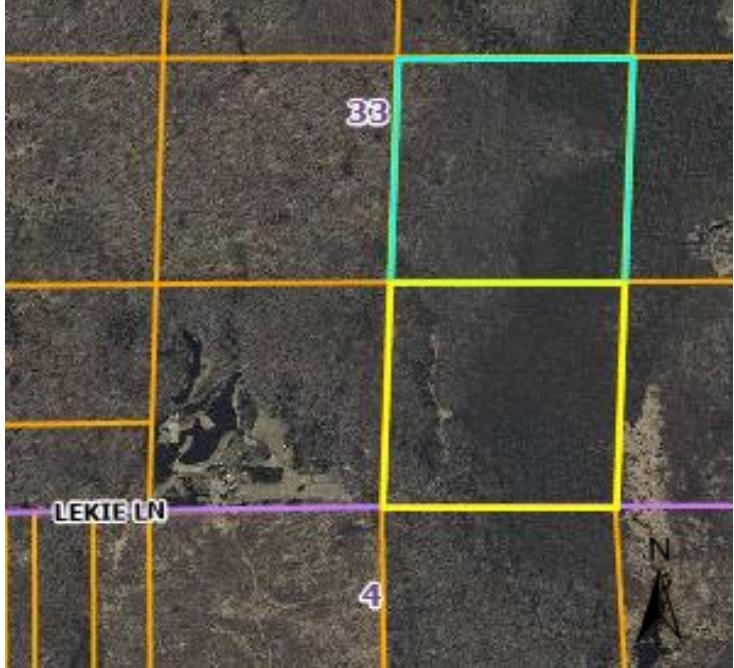 000 LEKIE LANE, Medford, Wisconsin 54451, ,Land,For Sale,000 LEKIE LANE,22501655