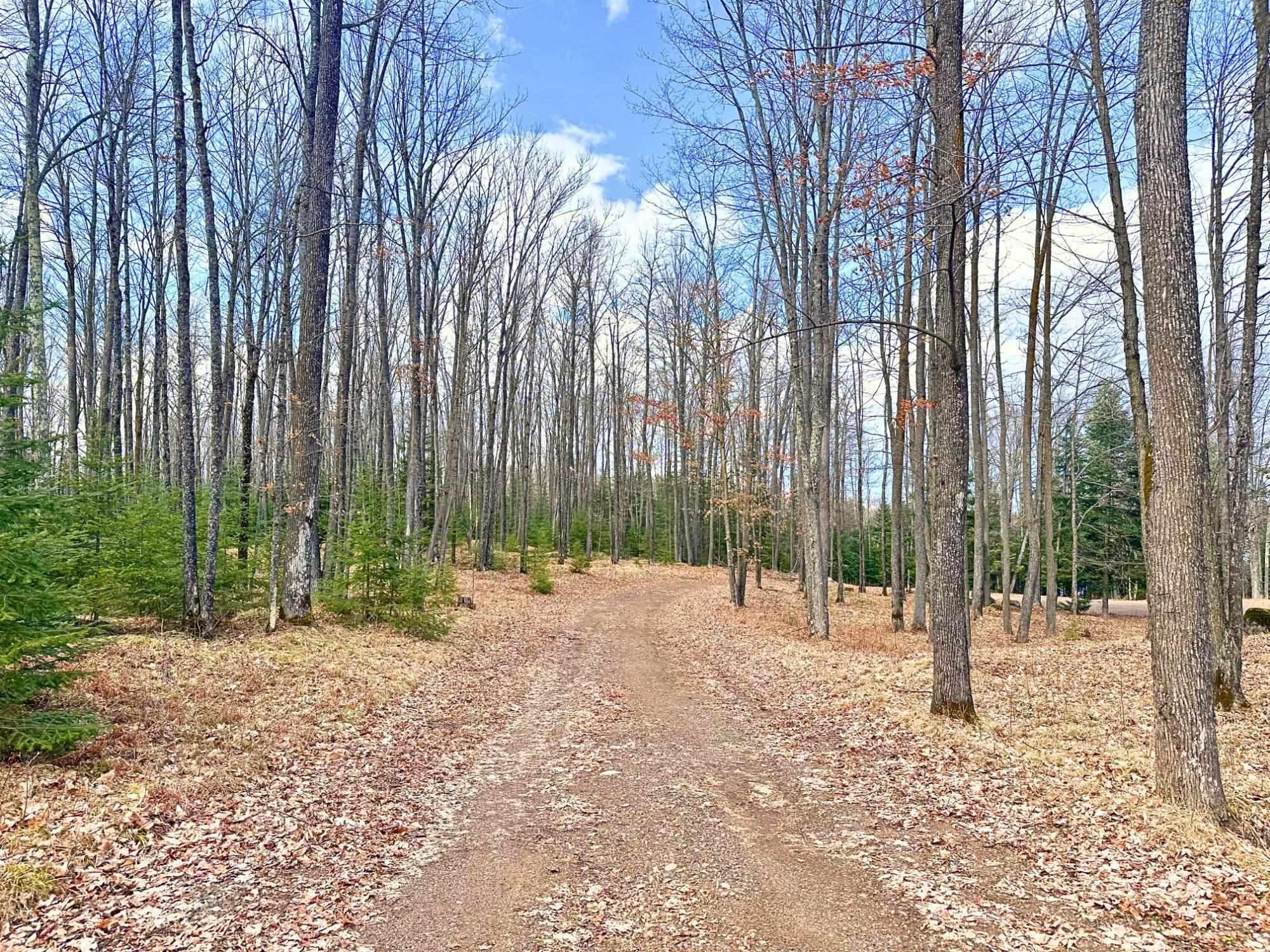 N13038 HICKS LANDING ROAD, Fifield, Wisconsin 54524, 3 Bedrooms Bedrooms, ,3 BathroomsBathrooms,Residential,For Sale,N13038 HICKS LANDING ROAD,22501697