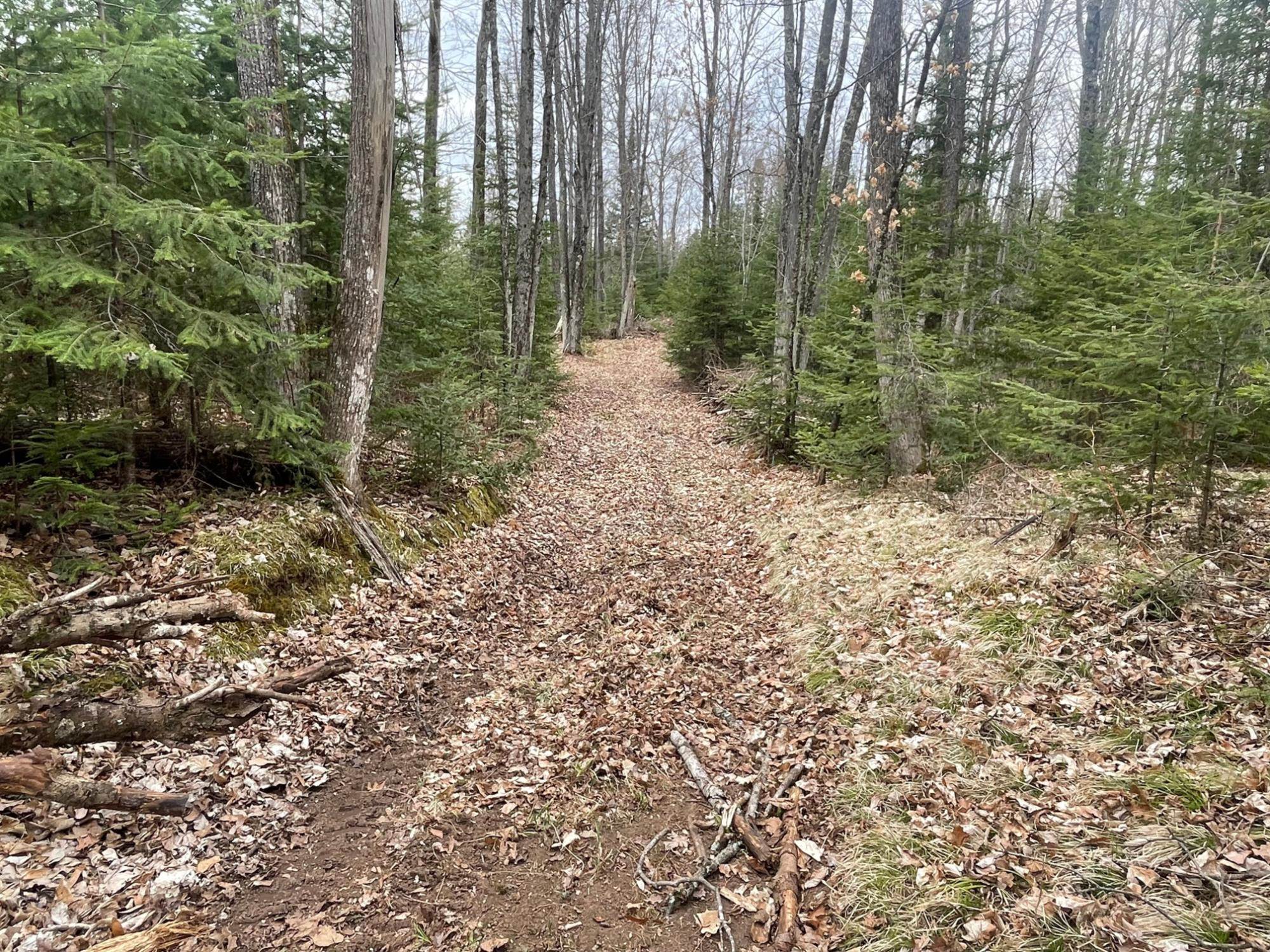 N13038 HICKS LANDING ROAD, Fifield, Wisconsin 54524, 3 Bedrooms Bedrooms, ,3 BathroomsBathrooms,Residential,For Sale,N13038 HICKS LANDING ROAD,22501697