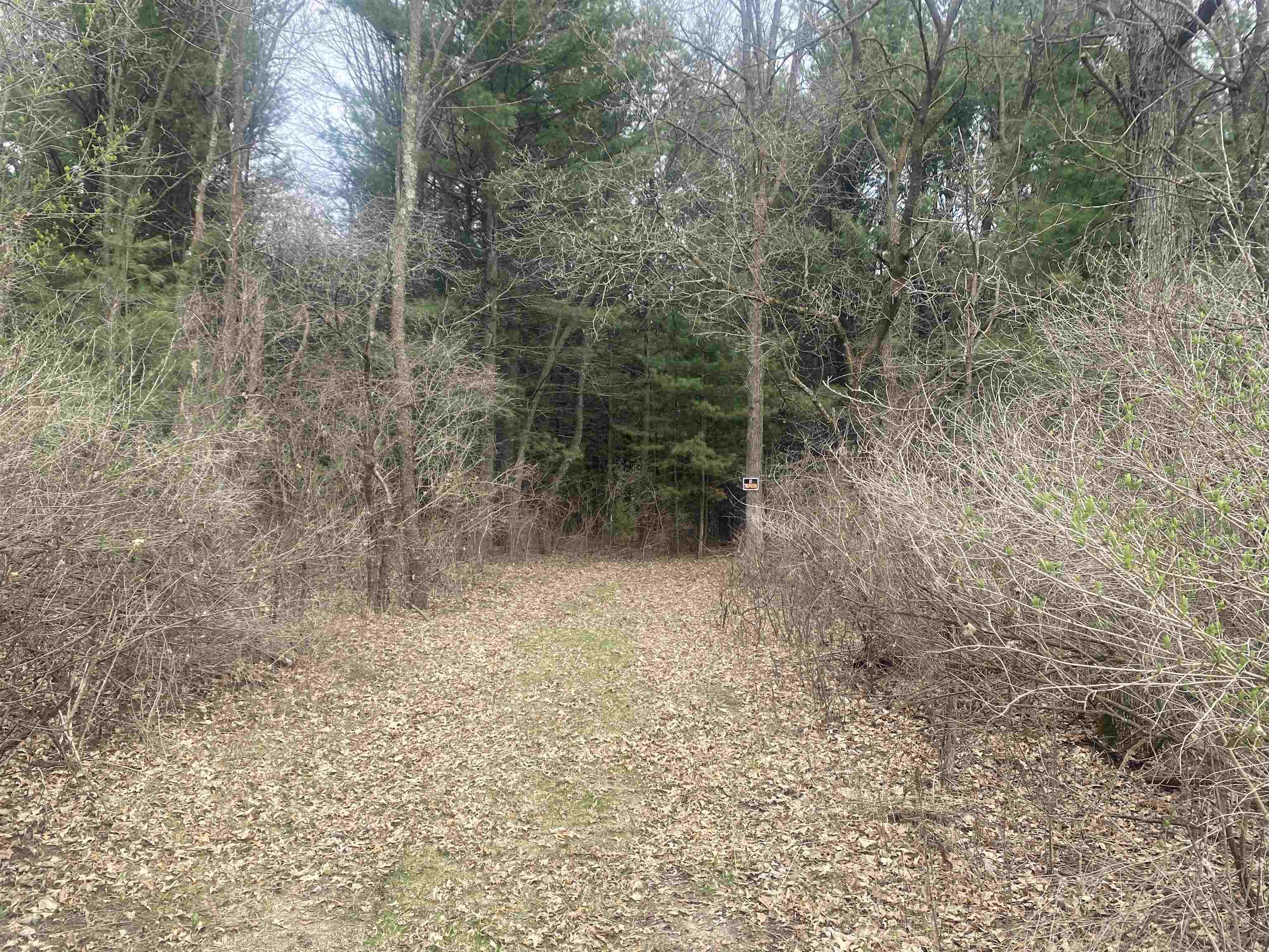 42.53A COUNTY ROAD Q, Amherst Junction, Wisconsin 54407, ,Land,For Sale,42.53A COUNTY ROAD Q,22501700