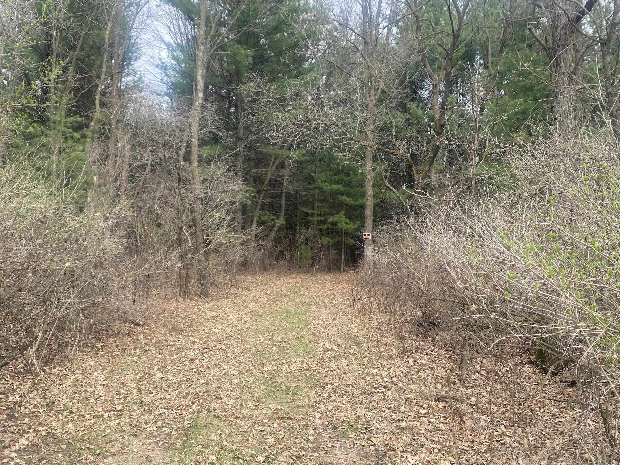 42.53A COUNTY ROAD Q, Amherst Junction, Wisconsin 54407, ,Land,For Sale,42.53A COUNTY ROAD Q,22501700