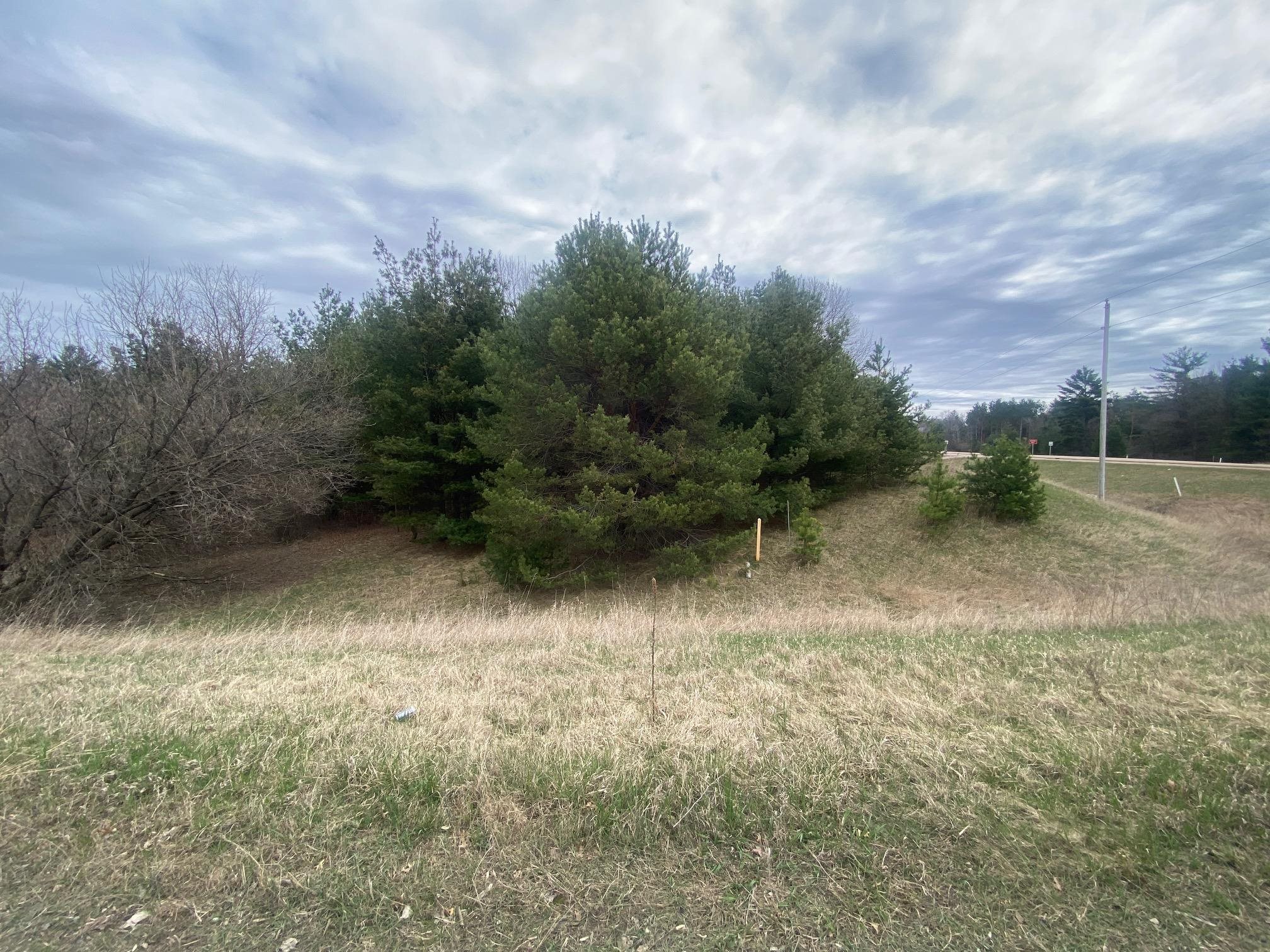 42.53A COUNTY ROAD Q, Amherst Junction, Wisconsin 54407, ,Land,For Sale,42.53A COUNTY ROAD Q,22501700