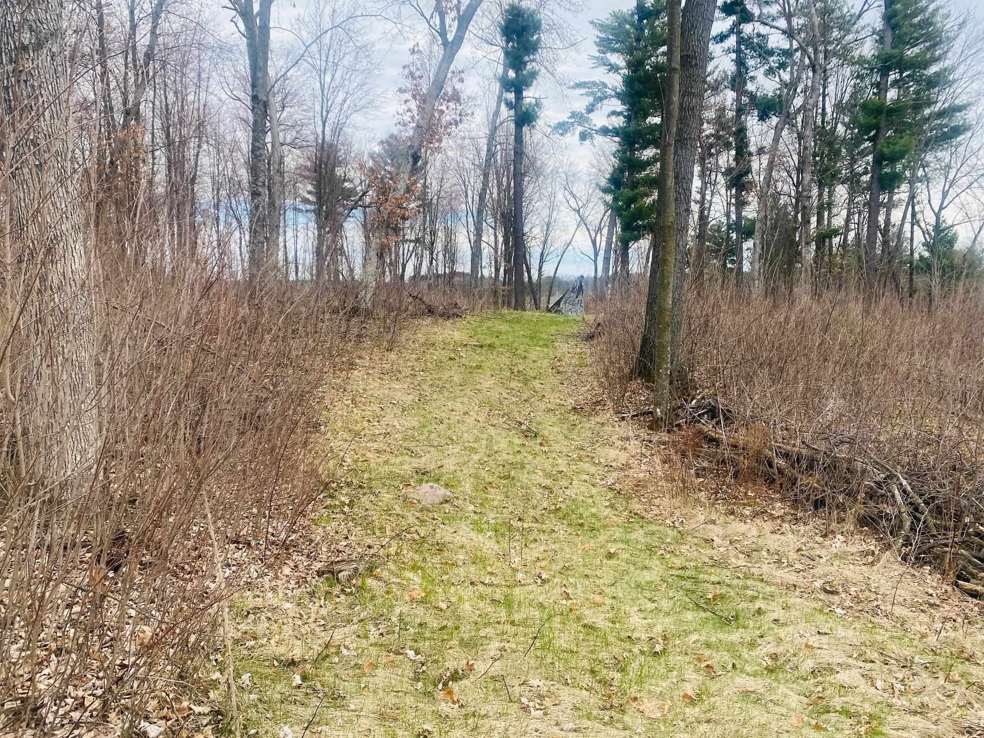 42.53A COUNTY ROAD Q, Amherst Junction, Wisconsin 54407, ,Land,For Sale,42.53A COUNTY ROAD Q,22501700