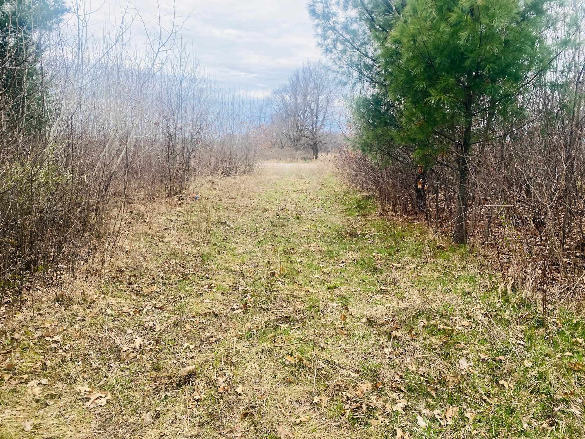 42.53A COUNTY ROAD Q, Amherst Junction, Wisconsin 54407, ,Land,For Sale,42.53A COUNTY ROAD Q,22501700