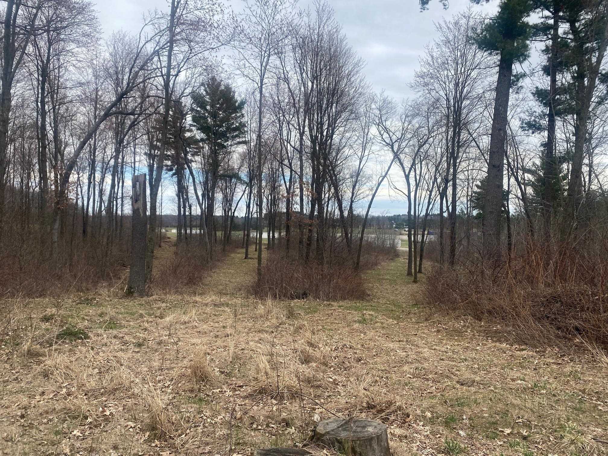 42.53A COUNTY ROAD Q, Amherst Junction, Wisconsin 54407, ,Land,For Sale,42.53A COUNTY ROAD Q,22501700