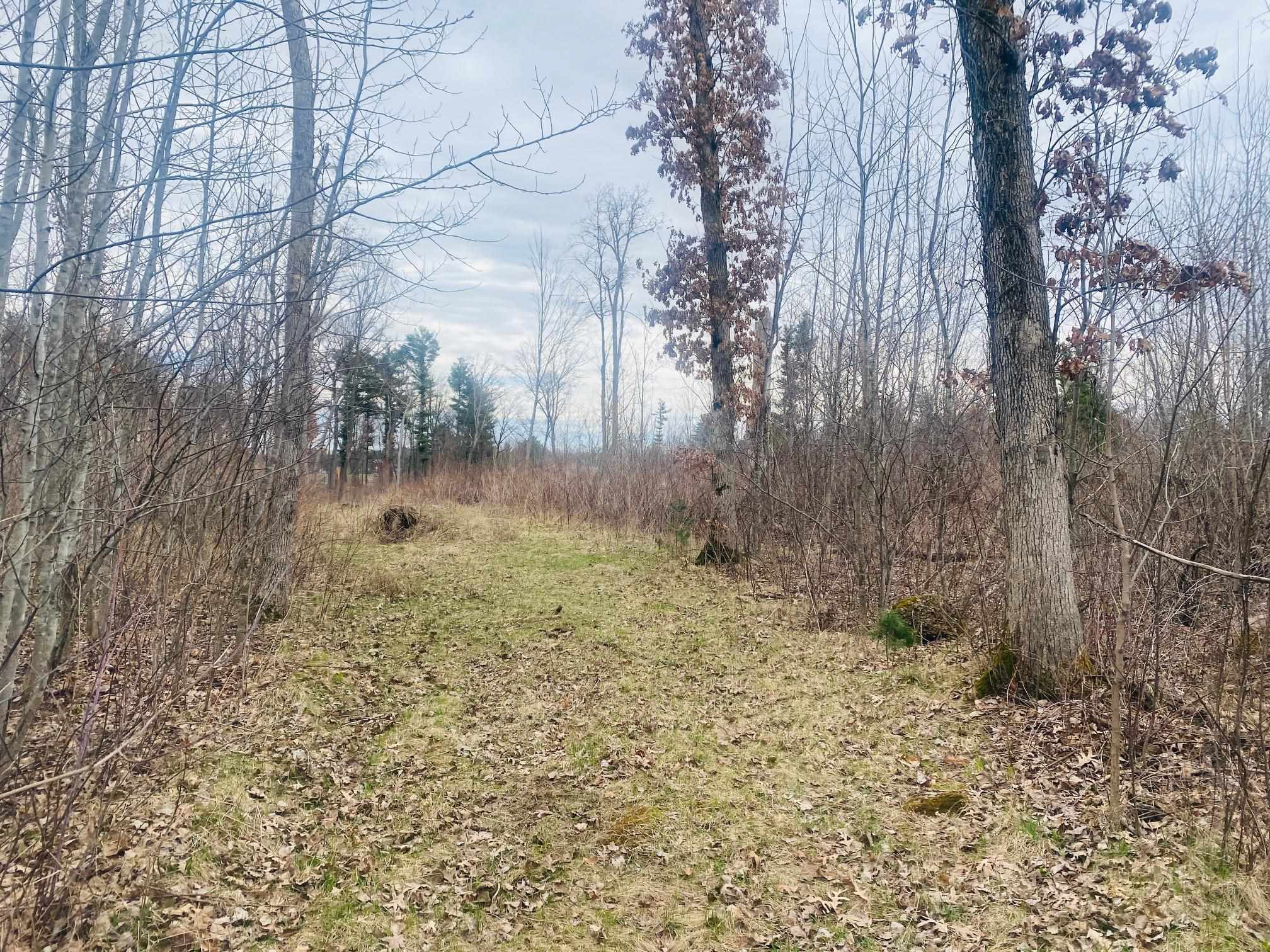 42.53A COUNTY ROAD Q, Amherst Junction, Wisconsin 54407, ,Land,For Sale,42.53A COUNTY ROAD Q,22501700