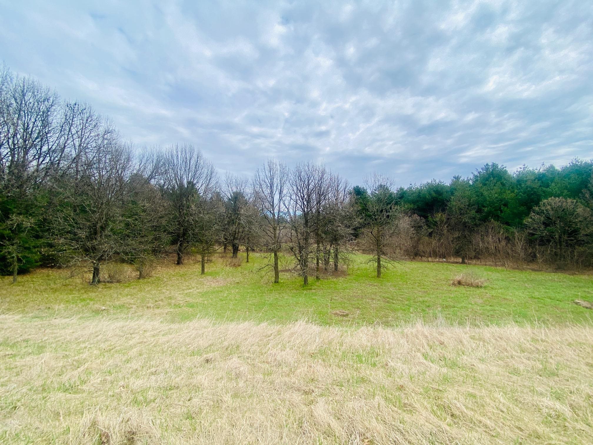 42.53A COUNTY ROAD Q, Amherst Junction, Wisconsin 54407, ,Land,For Sale,42.53A COUNTY ROAD Q,22501700