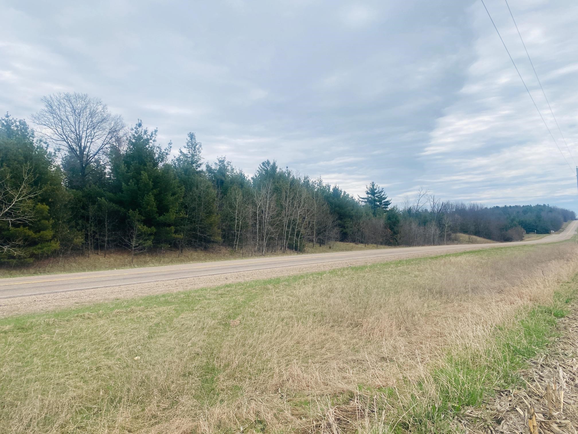 42.53A COUNTY ROAD Q, Amherst Junction, Wisconsin 54407, ,Land,For Sale,42.53A COUNTY ROAD Q,22501700